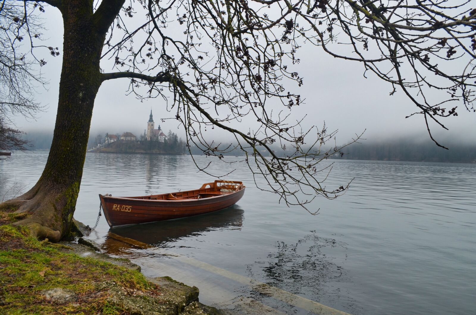 Nikon D5100 sample photo. Bled, slovenia, tree photography