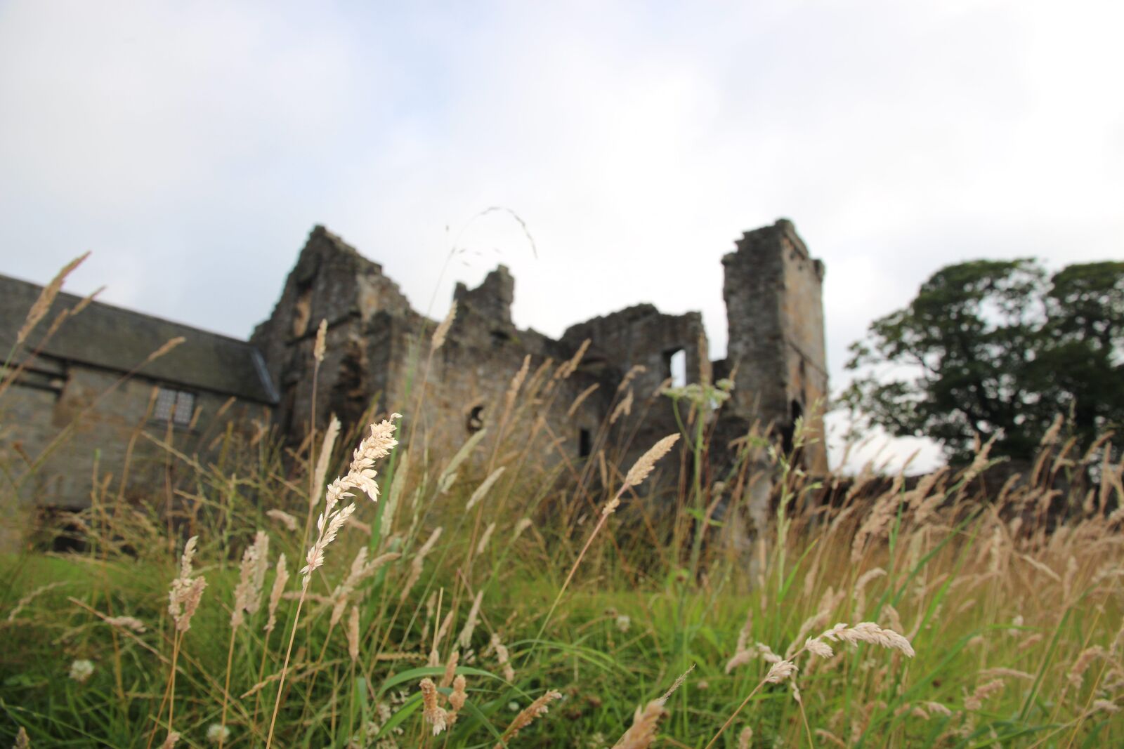 Canon EOS 700D (EOS Rebel T5i / EOS Kiss X7i) sample photo. Aberdour, castle, fife photography