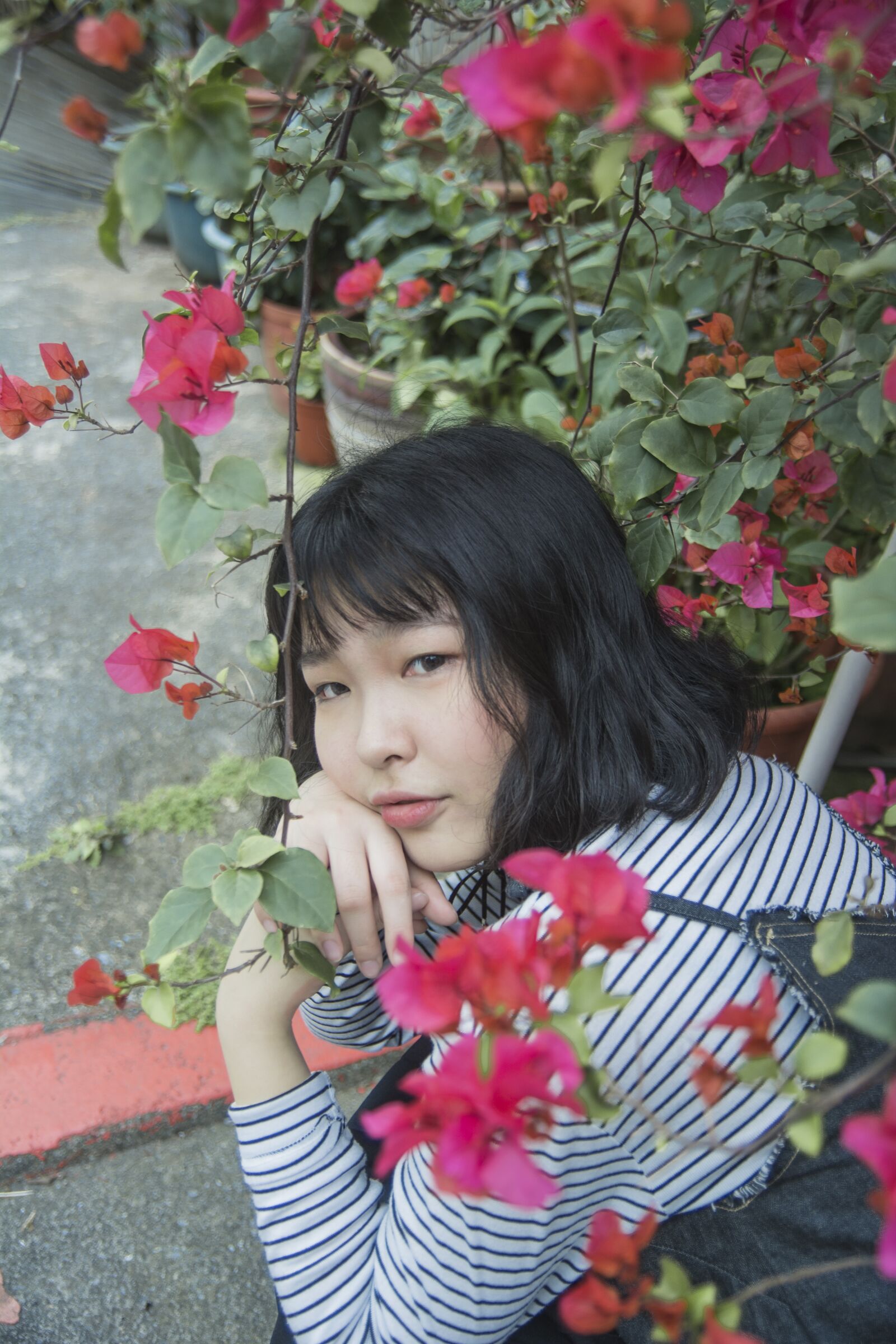 Nikon D7100 sample photo. Flower, garden, rose photography
