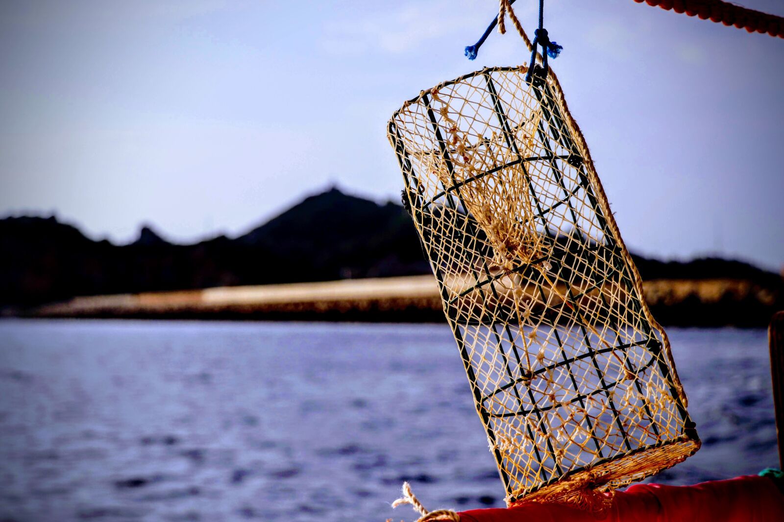 Canon EOS 80D sample photo. Nassa, sea, fishing photography