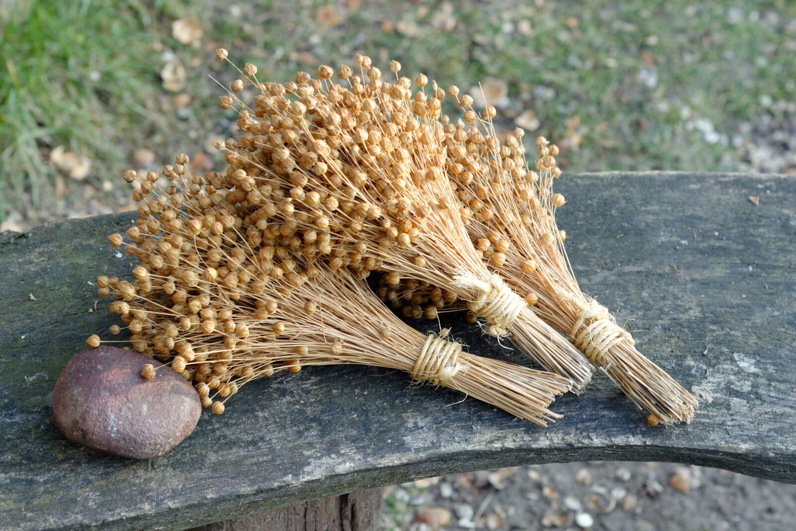 Nikon D5200 sample photo. Nature, flax, bouquet photography