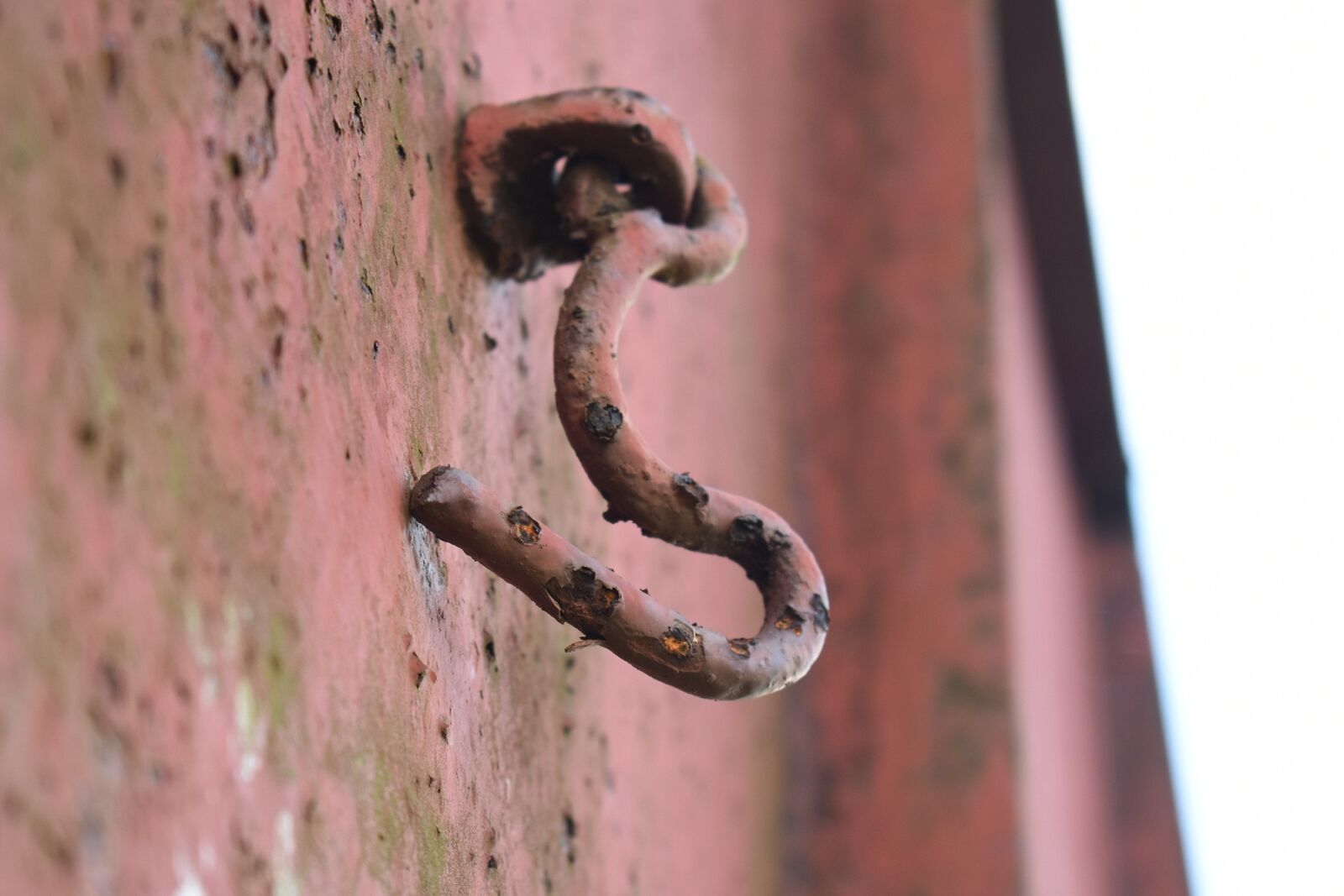 Nikon D3400 sample photo. Antique, hook, ancient photography