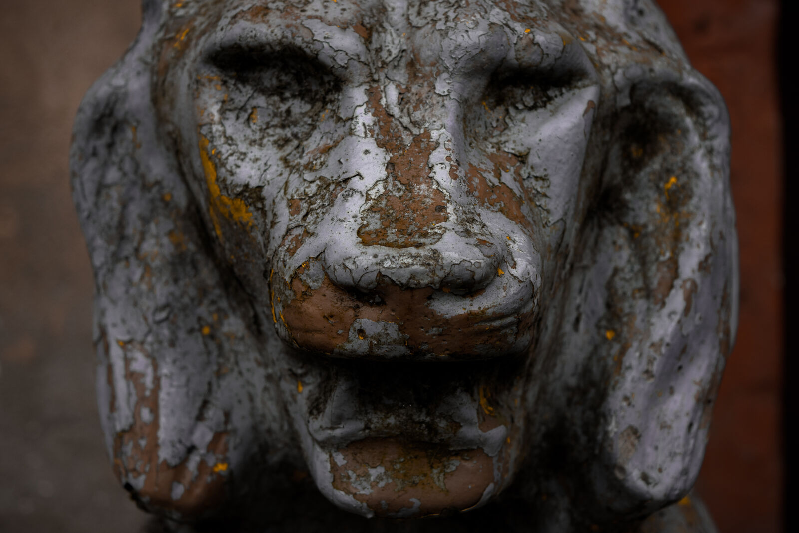 Nikon D3300 sample photo. Broken, lion, old, ruined photography