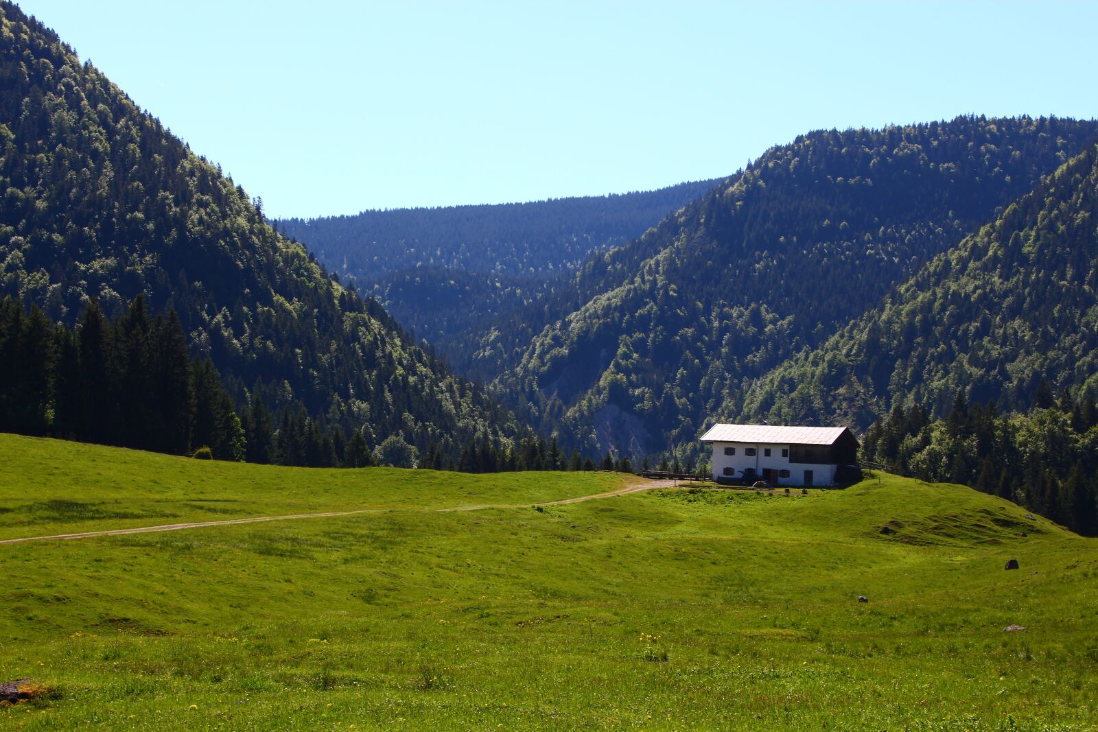 Canon EOS 700D (EOS Rebel T5i / EOS Kiss X7i) sample photo. Alm, mountain, alpine photography