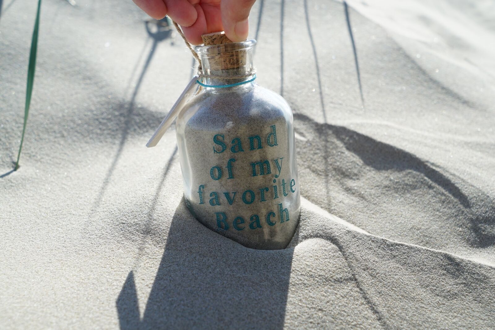 Sony a7S + Sony Vario Tessar T* FE 24-70mm F4 ZA OSS sample photo. Sand, beach, vacations photography