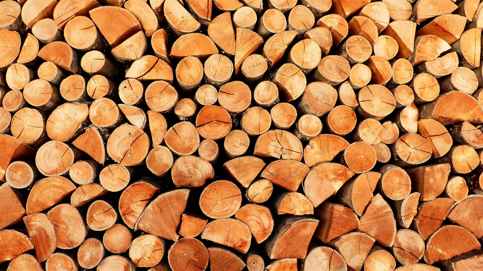 Panasonic Lumix DMC-FZ200 sample photo. Wood, heating, stack photography