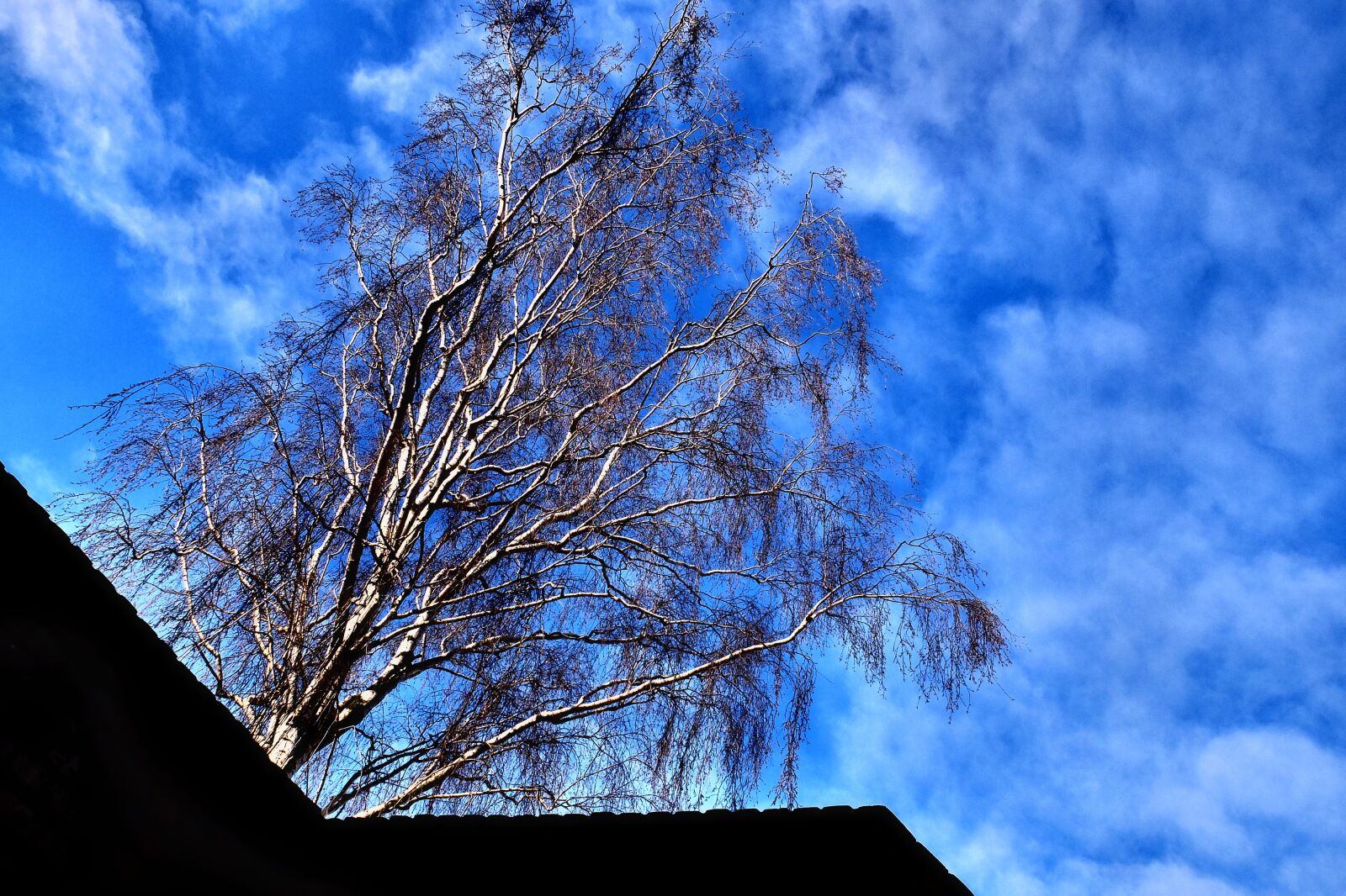 Fujifilm X30 sample photo. Air, blue, clouds, sky photography