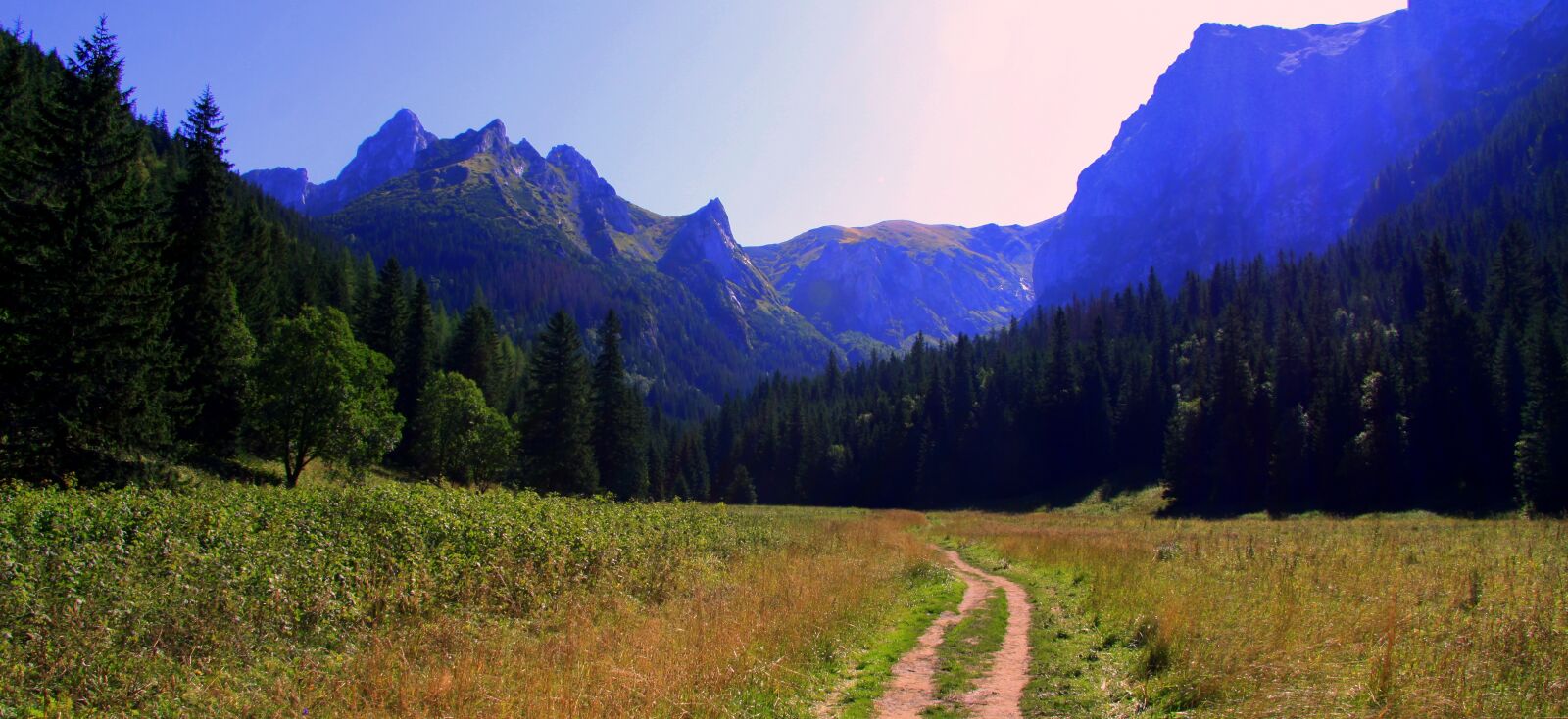 Canon EOS 50D sample photo. Poland, mountains, tatry photography