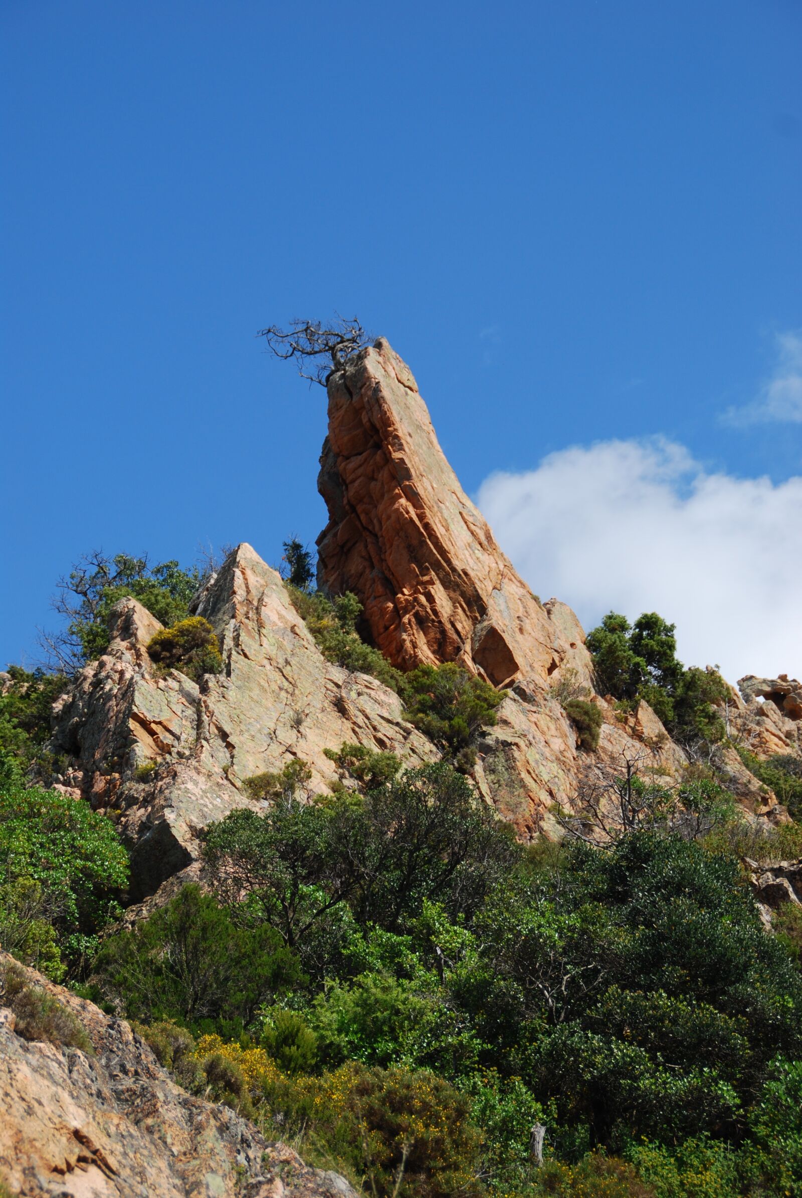 Nikon D60 sample photo. Rock, red, calanche photography