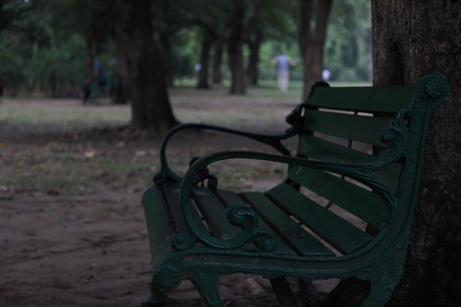 Canon EOS 700D (EOS Rebel T5i / EOS Kiss X7i) sample photo. Park, garden, seat photography