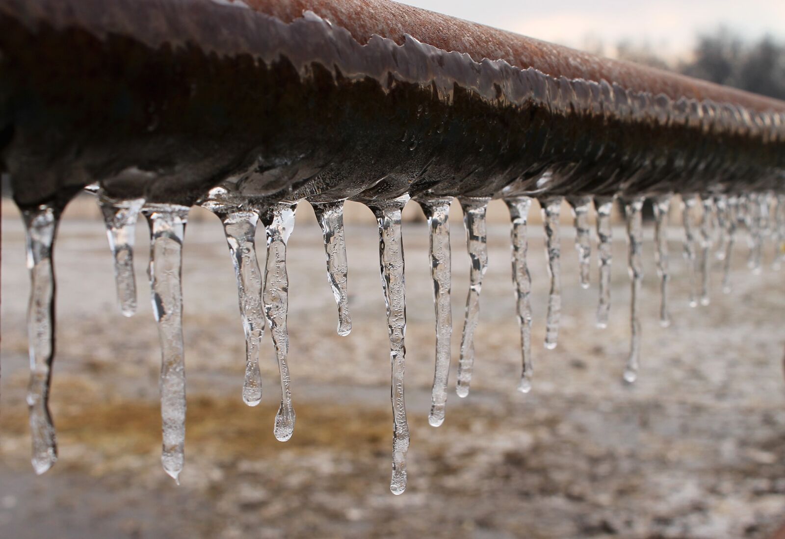 Canon EOS 1100D (EOS Rebel T3 / EOS Kiss X50) sample photo. Ice, icicle, frozen photography