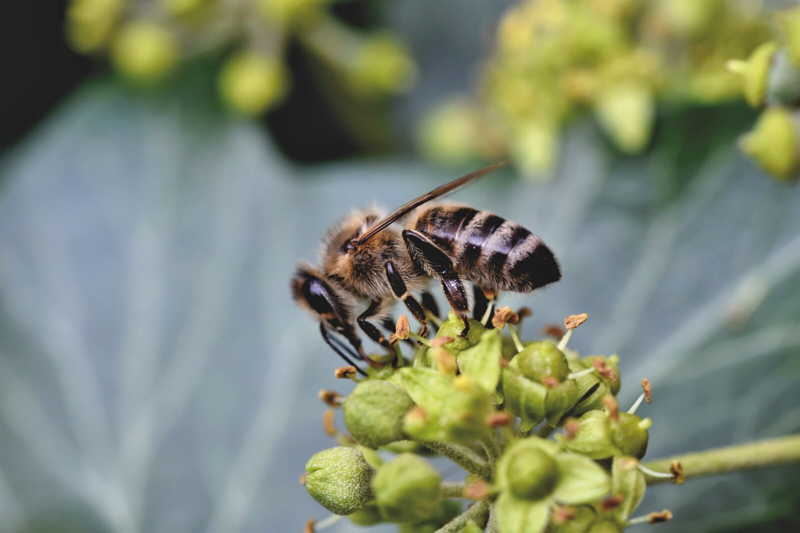 Nikon D7200 sample photo