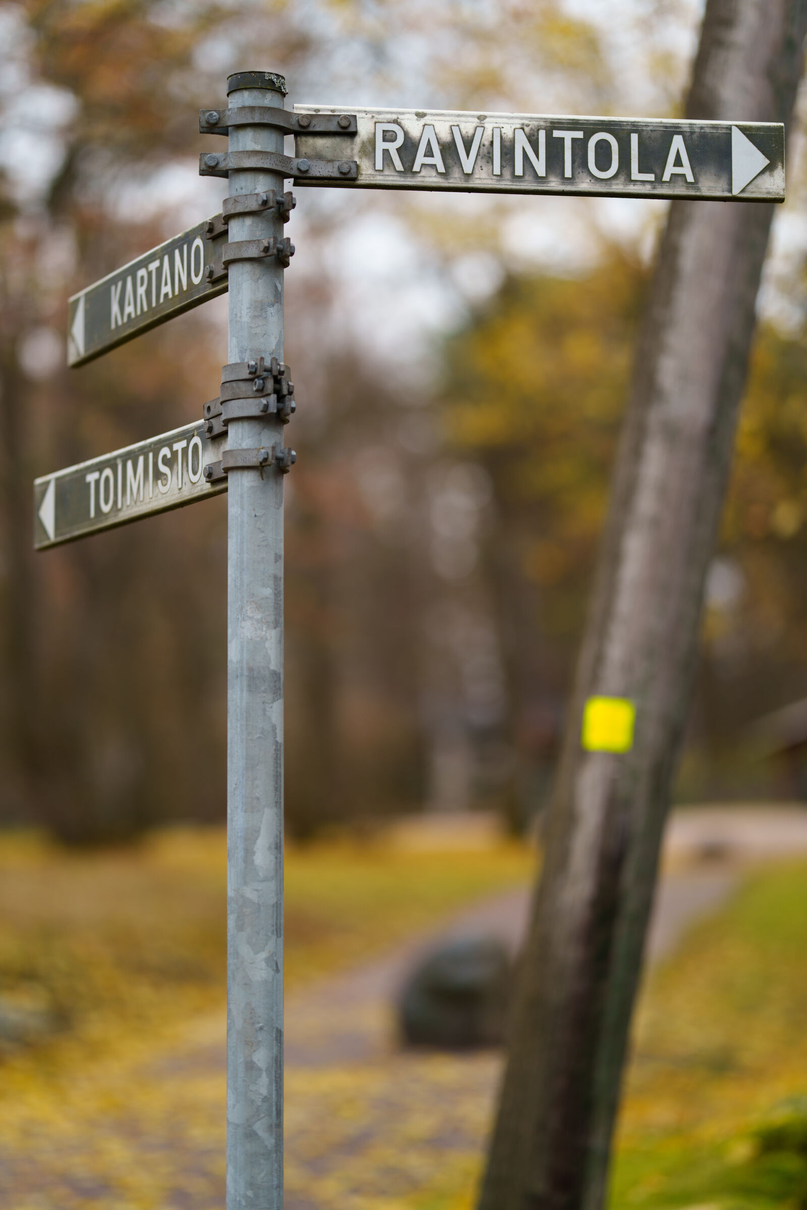 Sony FE 85mm F1.4 GM II sample photo. This way to restaurant photography