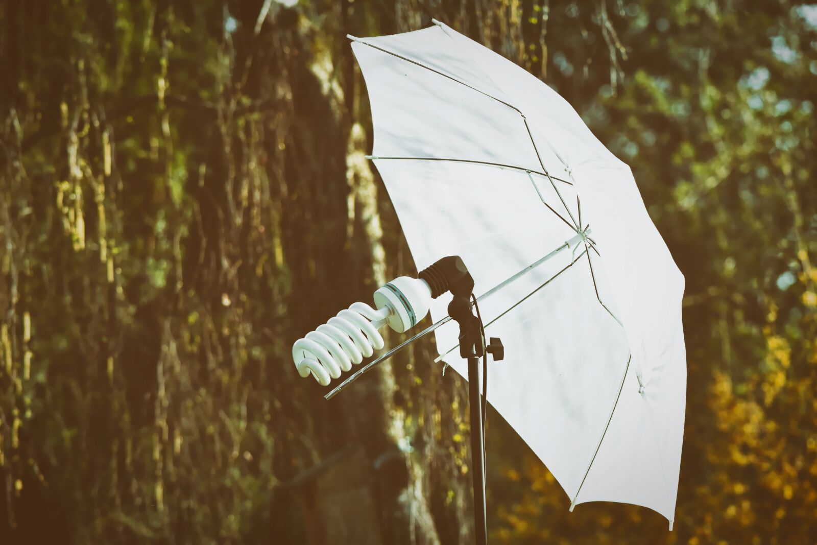 Nikon D7200 sample photo. Photo lamp, screen, light photography