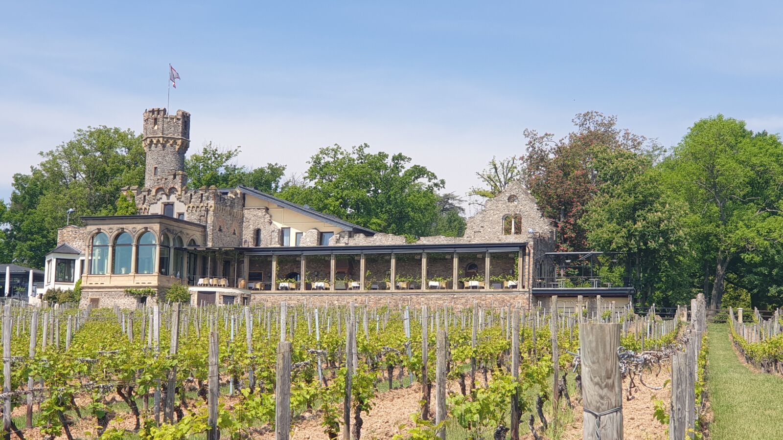 Samsung Galaxy Note9 sample photo. Castle, nature, vineyards photography