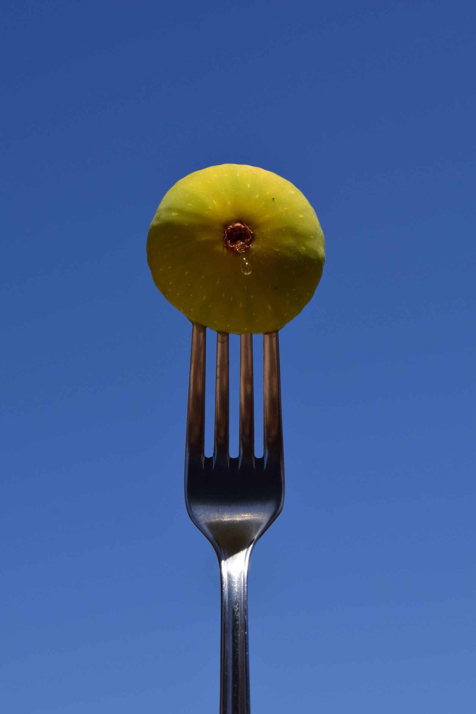 Nikon D3300 sample photo. Fig, fork, eat photography