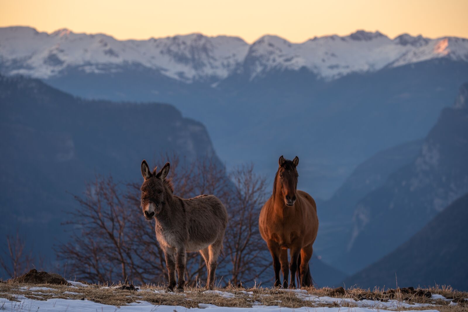 Sony a7 III sample photo. Monte grappa, italy, veneto photography