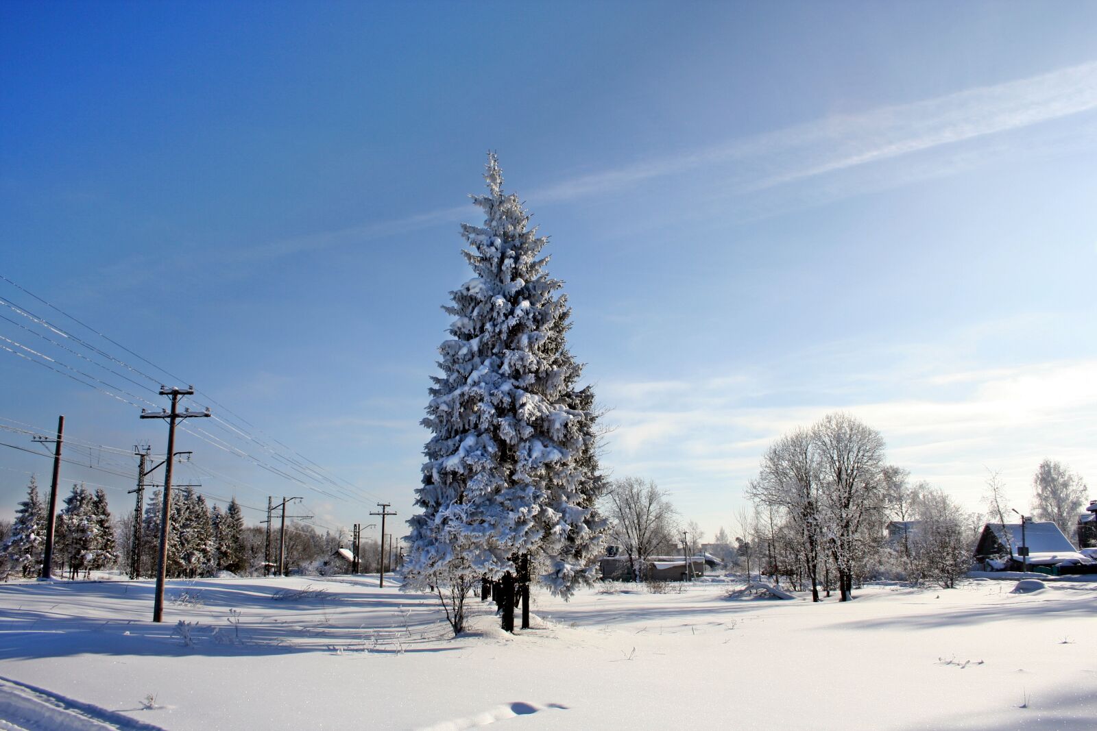 Canon EOS 350D (EOS Digital Rebel XT / EOS Kiss Digital N) sample photo. Russian winter, winter, zimushka photography