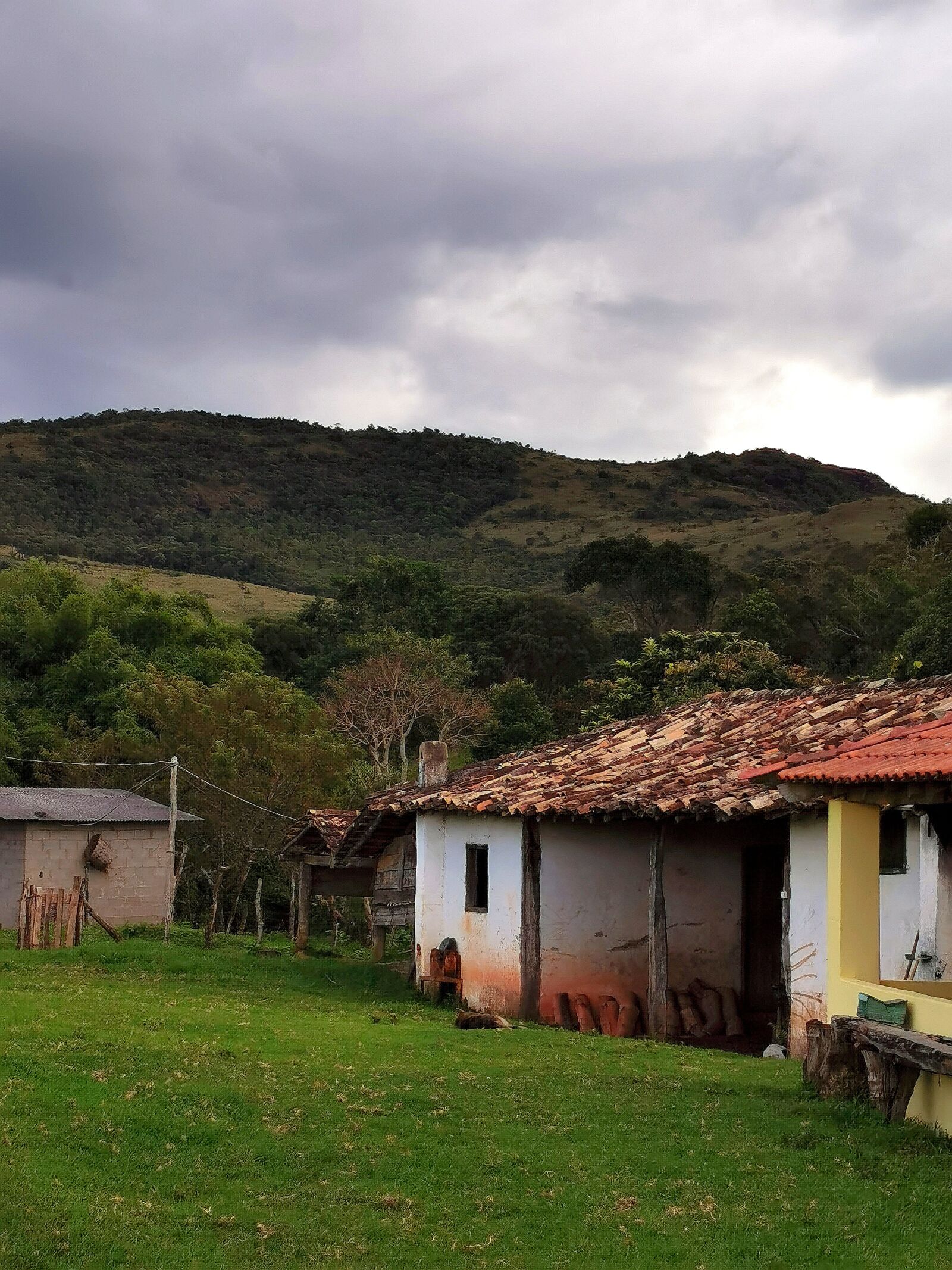 HUAWEI P30 Pro sample photo. Farm, nature, roça photography