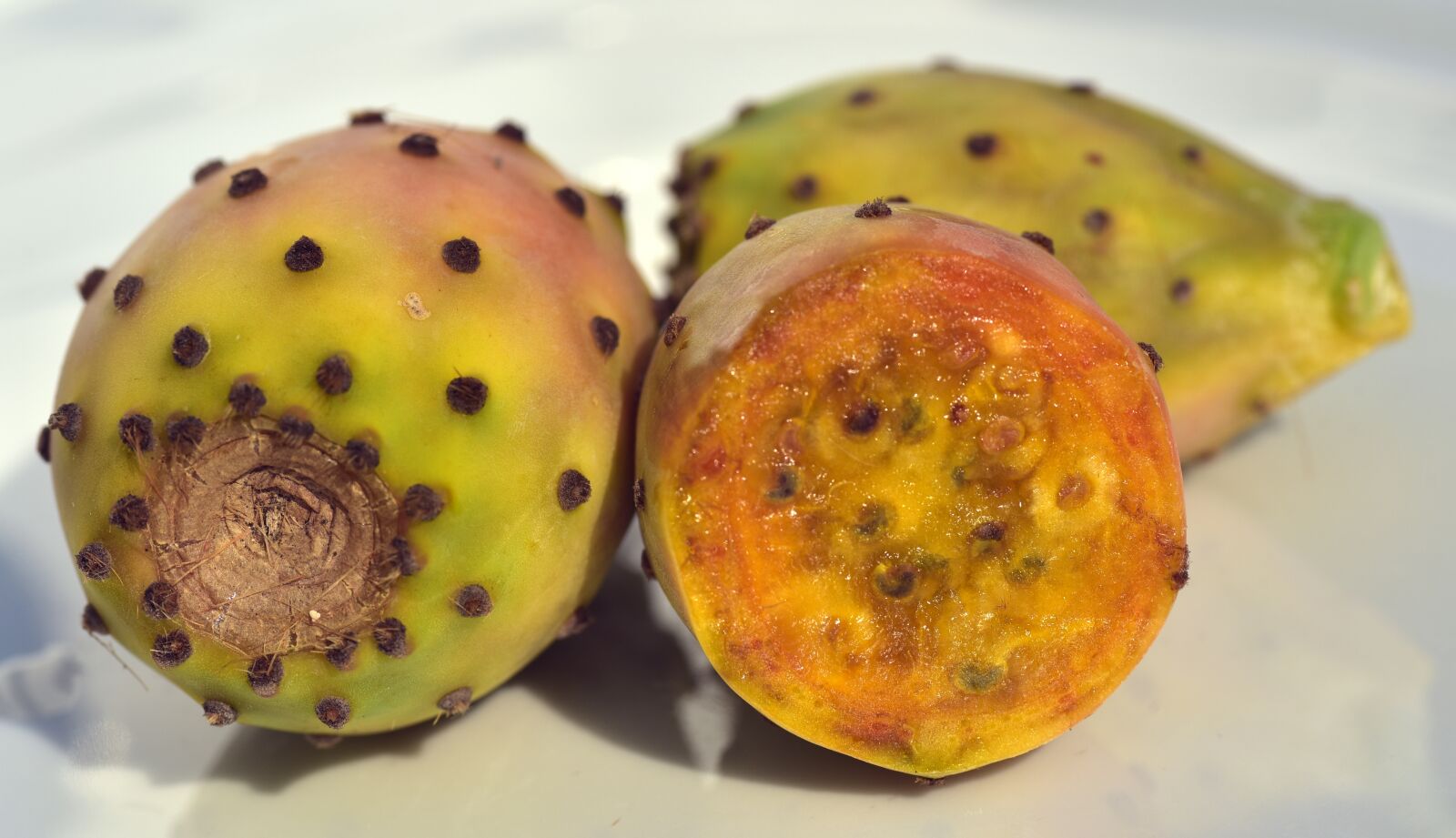 Nikon D750 sample photo. Cactus, prickly pear, fruit photography
