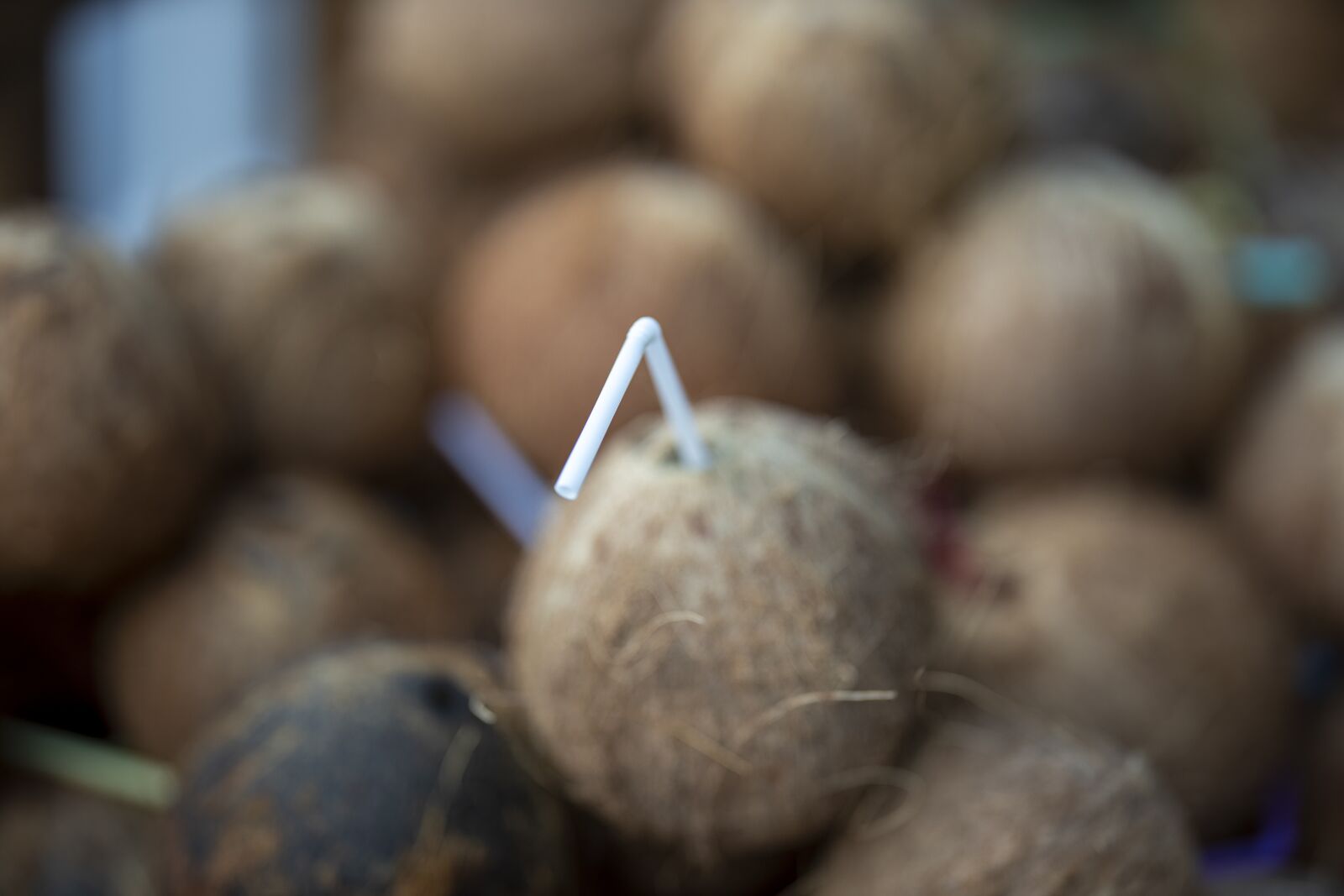 Canon EOS R + Canon RF 85mm F1.2L USM sample photo. India coconut, fruit, juicy photography