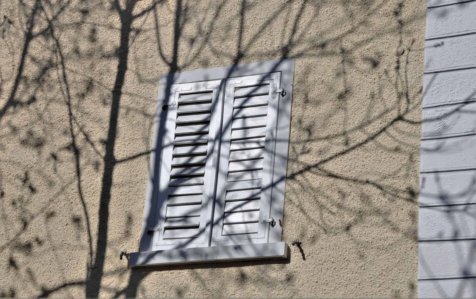 Canon EOS 80D sample photo. Window, shadow, the walls photography