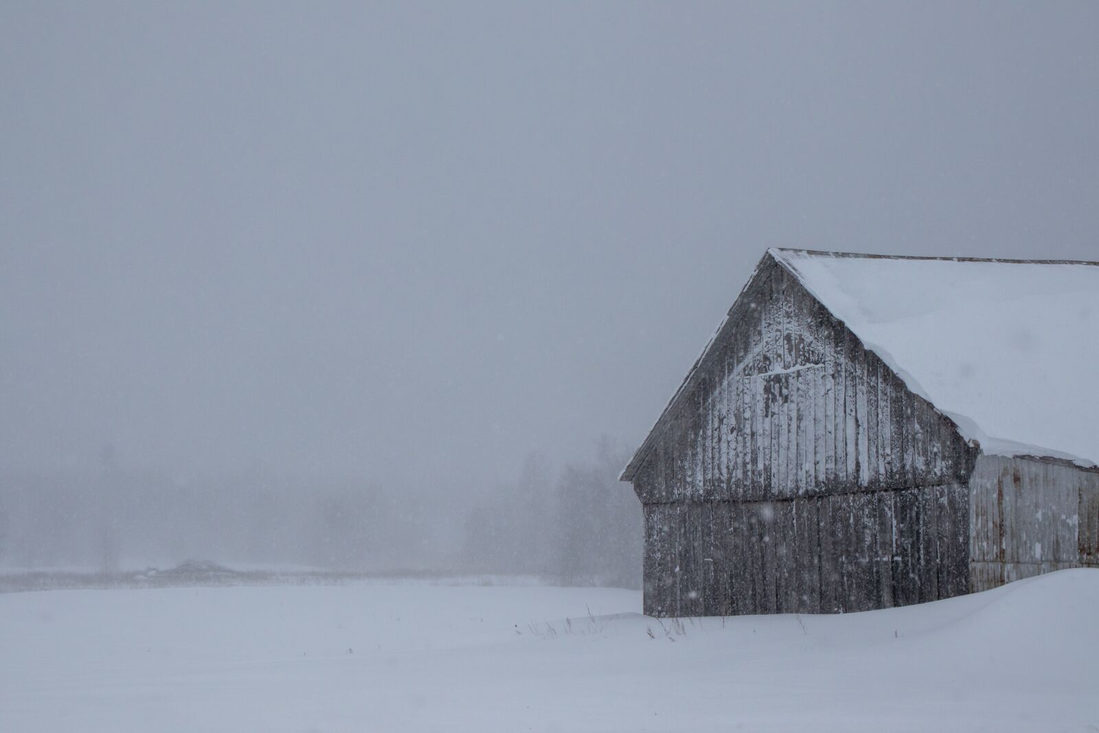 Canon EOS 200D (EOS Rebel SL2 / EOS Kiss X9) sample photo. Winter, grange, farm photography