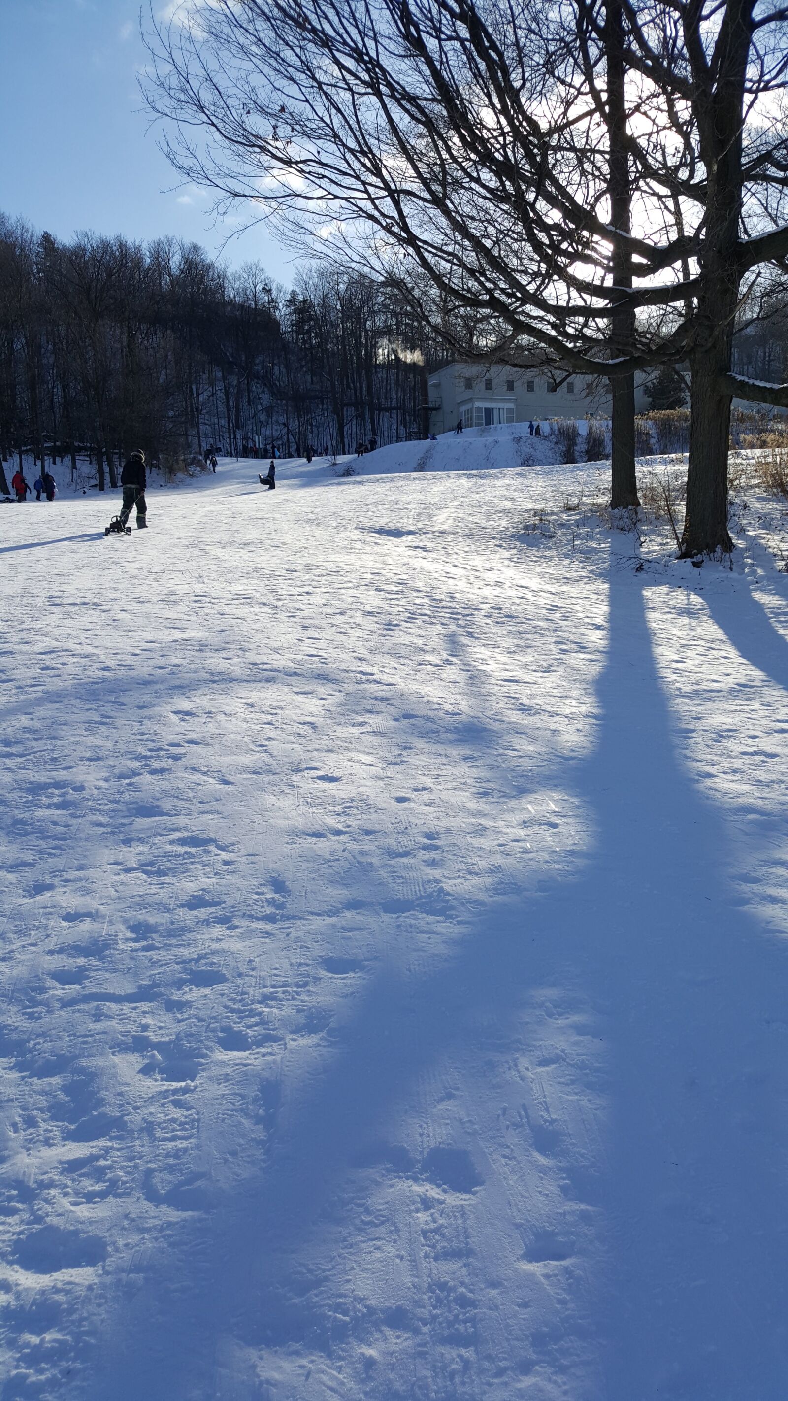 Samsung Galaxy S6 sample photo. Sledding, snow, winter photography