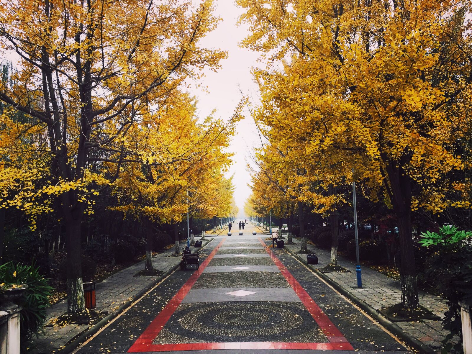 iPhone 6 Plus back camera 4.15mm f/2.2 sample photo. Chengdu, china, street photography