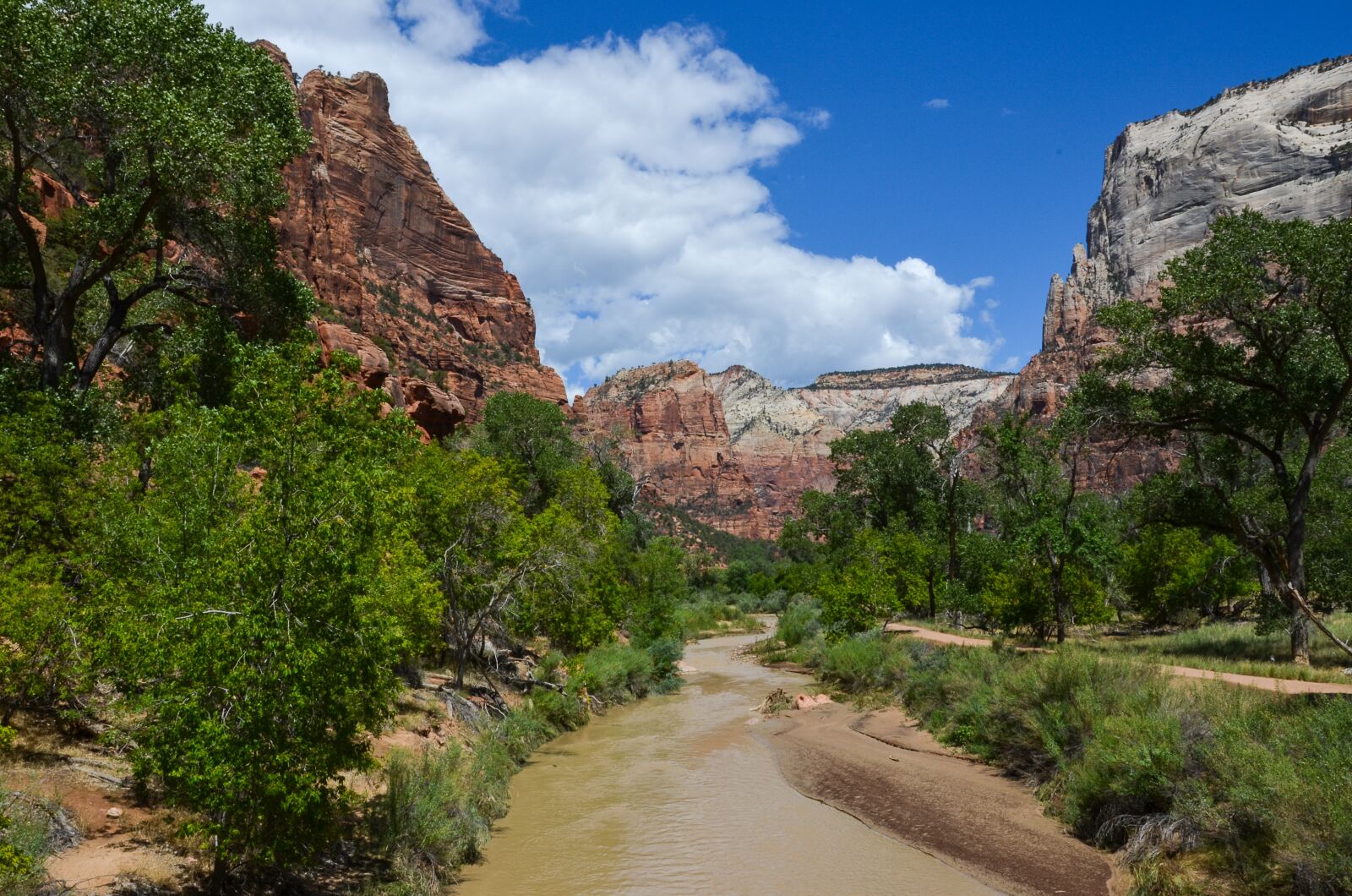 Nikon D5100 sample photo. Utah, zion national park photography