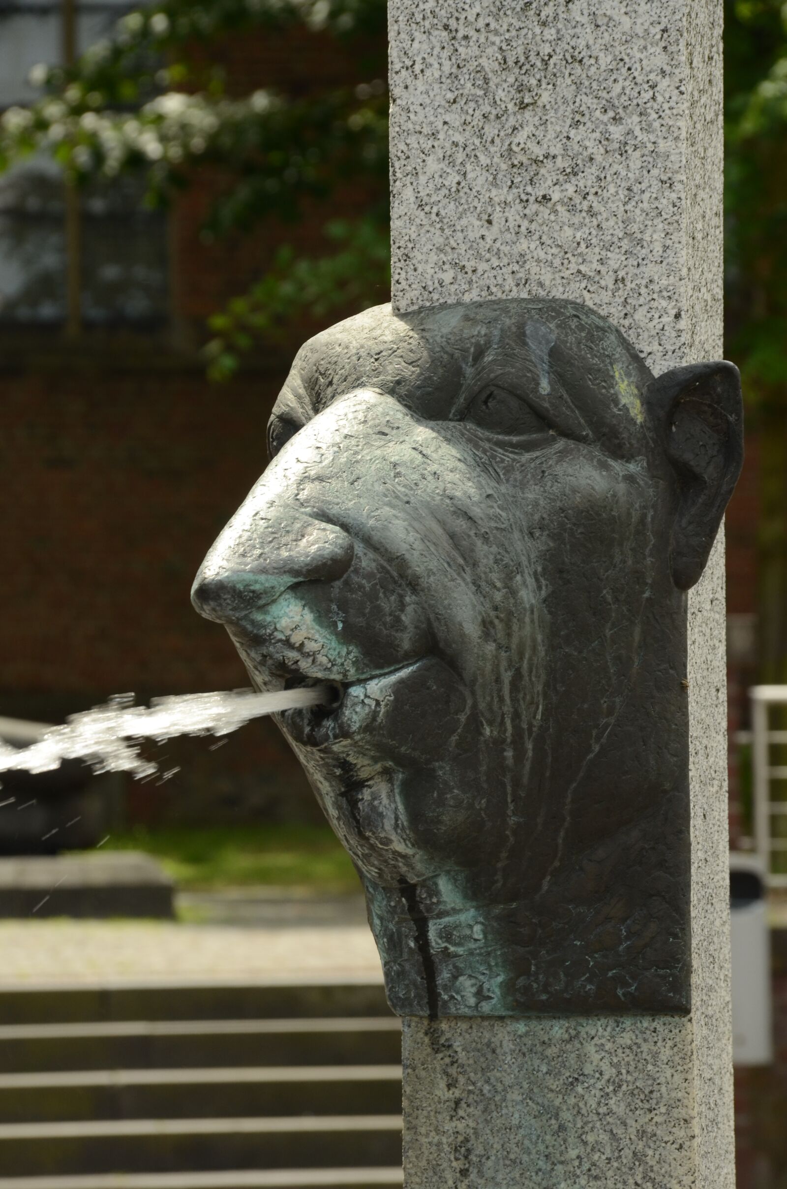 Nikon D7000 sample photo. Source, fountain, head photography