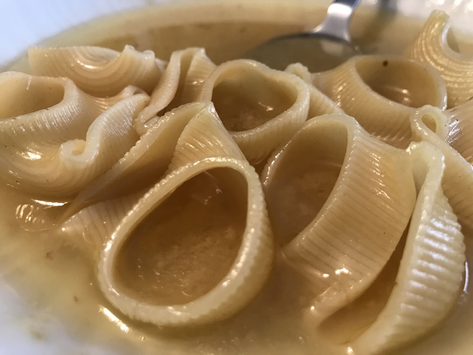 iPhone 7 back camera 3.99mm f/1.8 sample photo. Pasta, food, soup photography