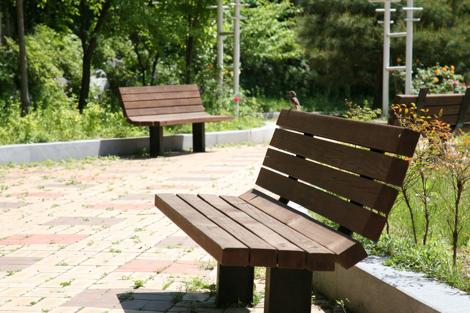 Canon EOS 5D sample photo. Bench, chair, park photography