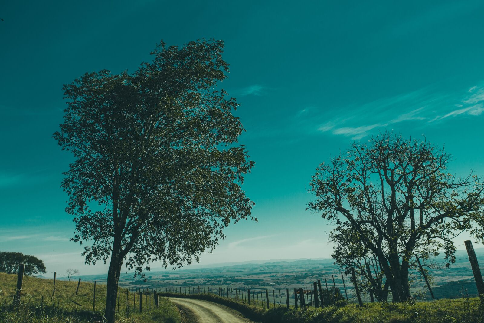 Canon EOS 6D + Canon EF 17-40mm F4L USM sample photo. Countryside, dirt road, grass photography