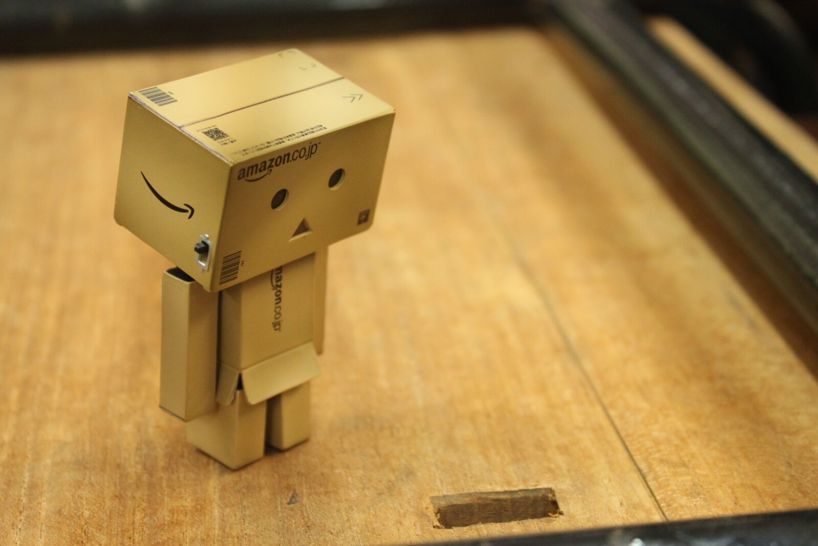 Canon EOS 500D (EOS Rebel T1i / EOS Kiss X3) sample photo. Danbo, action figure, cute photography