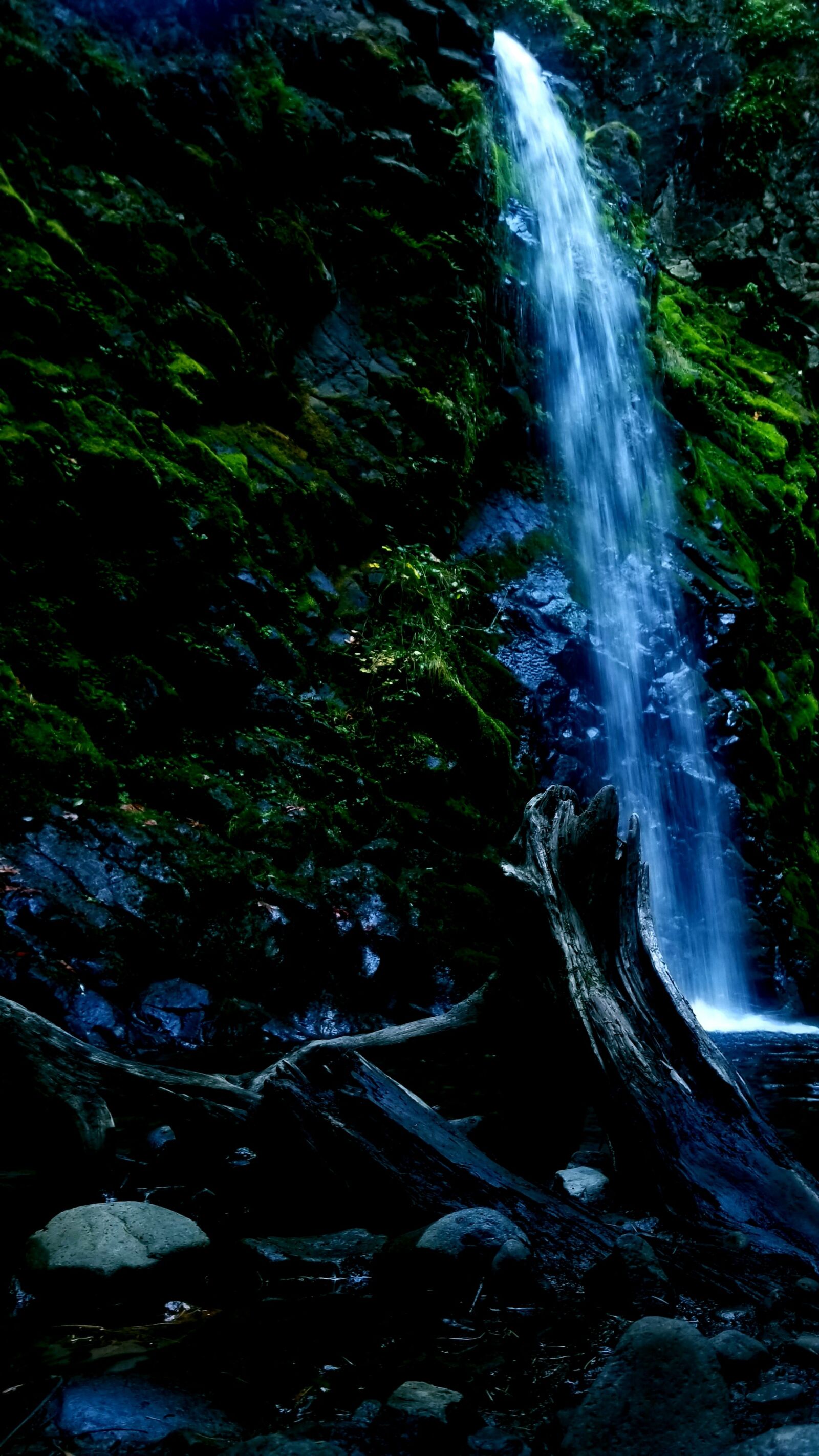 Samsung Galaxy Note9 sample photo. Fall creek falls, falls photography