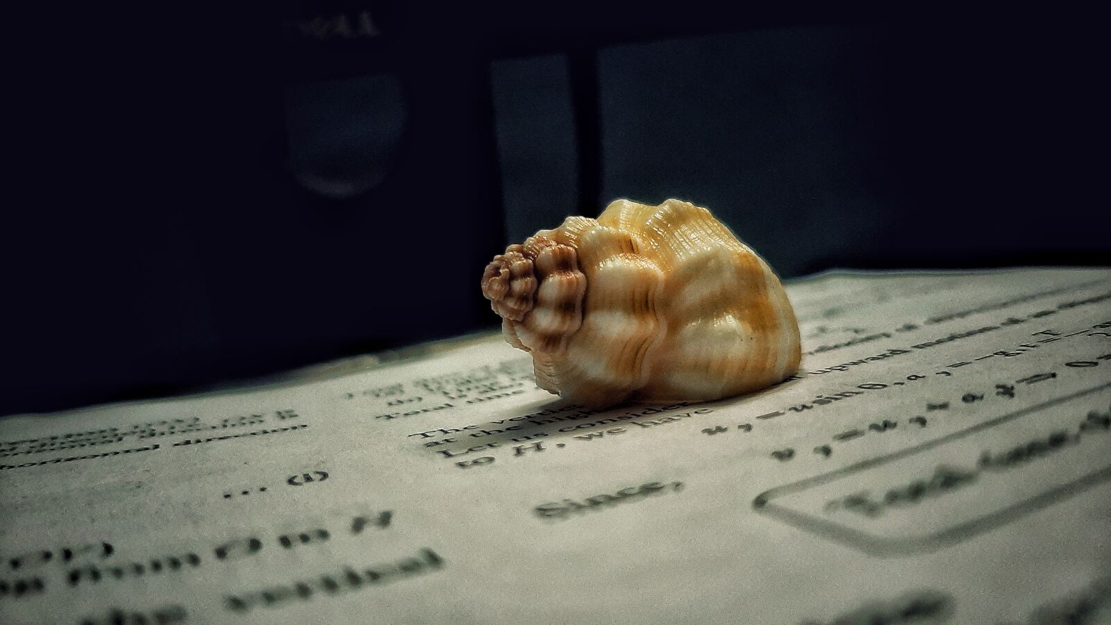 Samsung Galaxy A50 sample photo. Shell, book, brown photography