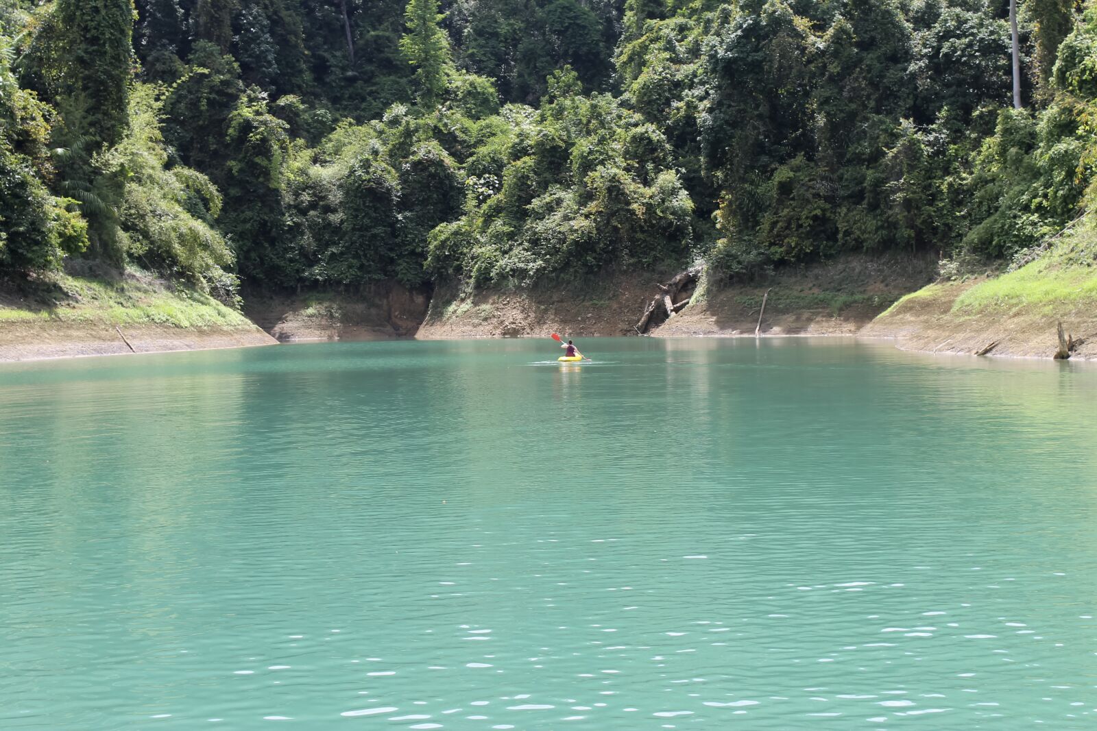 Canon EOS 1100D (EOS Rebel T3 / EOS Kiss X50) sample photo. Lake, rocks, mangroves photography