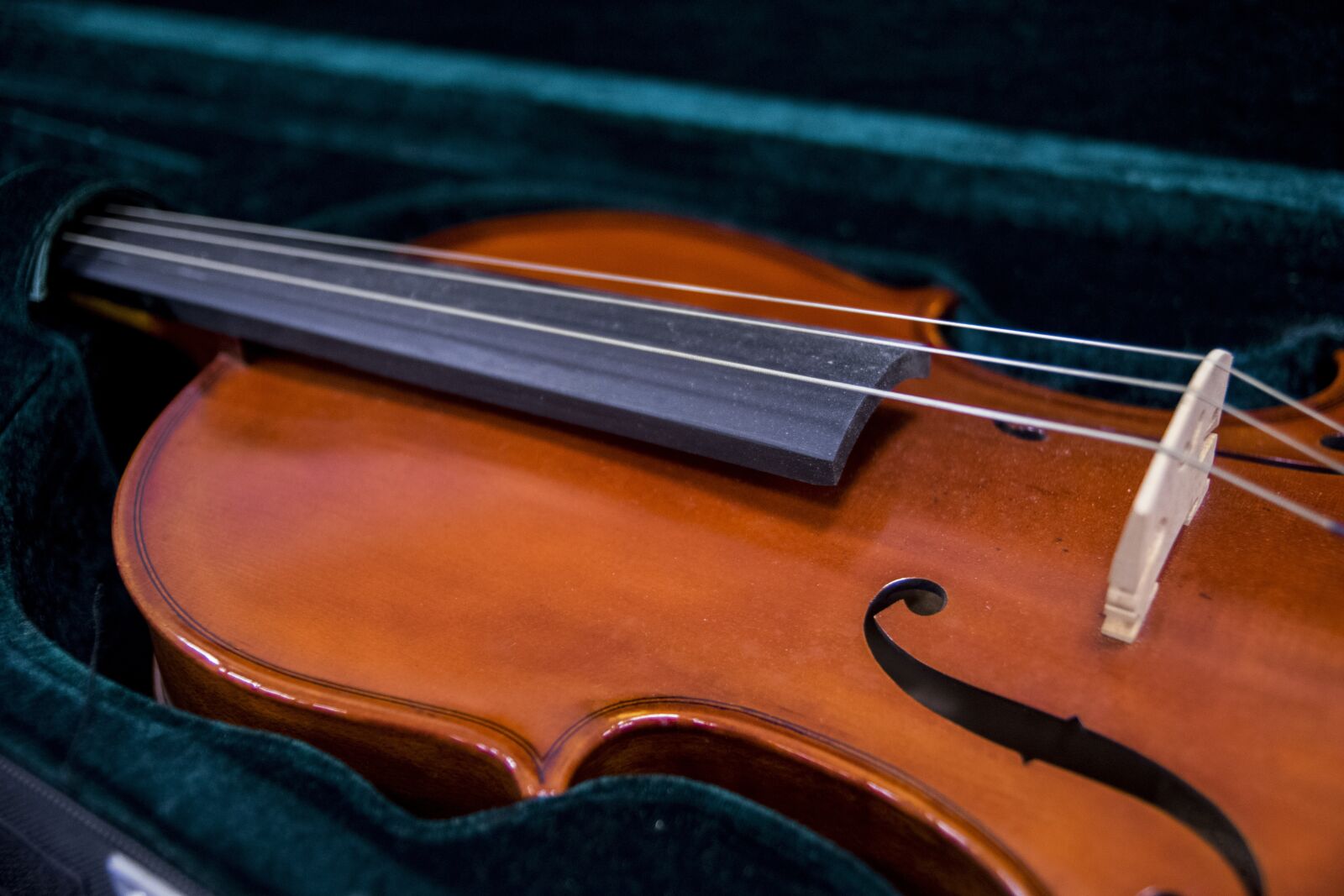 Tamron SP AF 17-50mm F2.8 XR Di II LD Aspherical (IF) sample photo. Violin, musical instruments, string photography