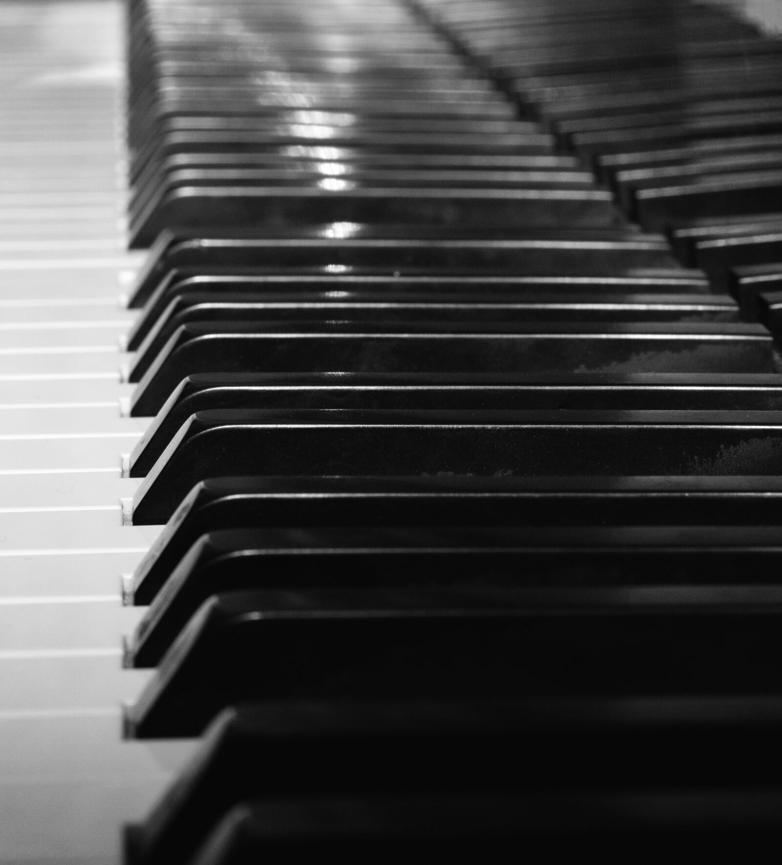 Nikon D5500 sample photo. Close, up, in, a photography