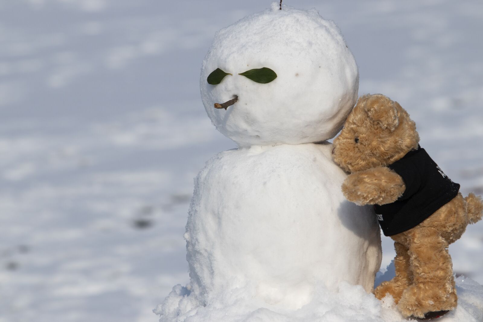 Canon EF 70-200mm F2.8L USM sample photo. Snow, snowman, winter photography