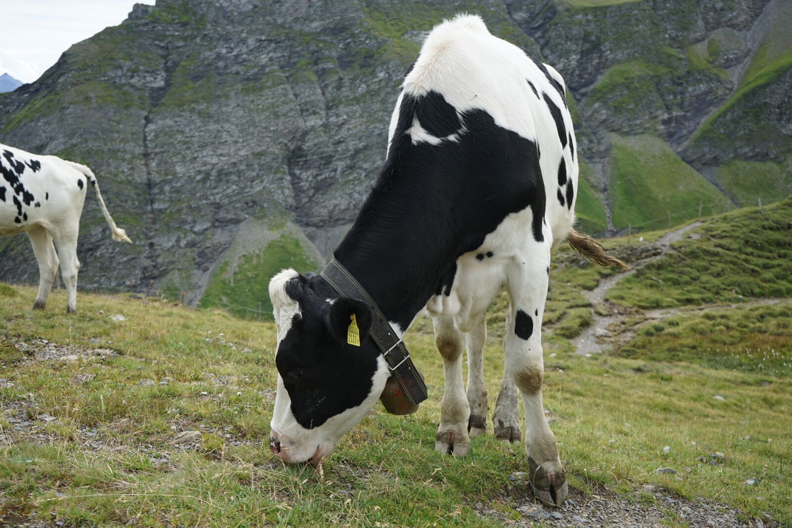 Sony a7 II + Sony FE 28-70mm F3.5-5.6 OSS sample photo. Hiking, mountains, switzerland photography