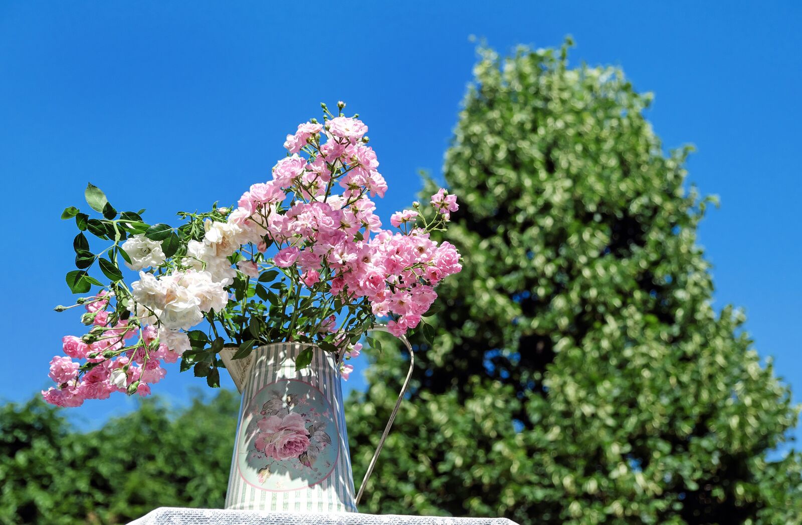 Fujifilm X-T10 sample photo. Bouquet of roses, blossom photography