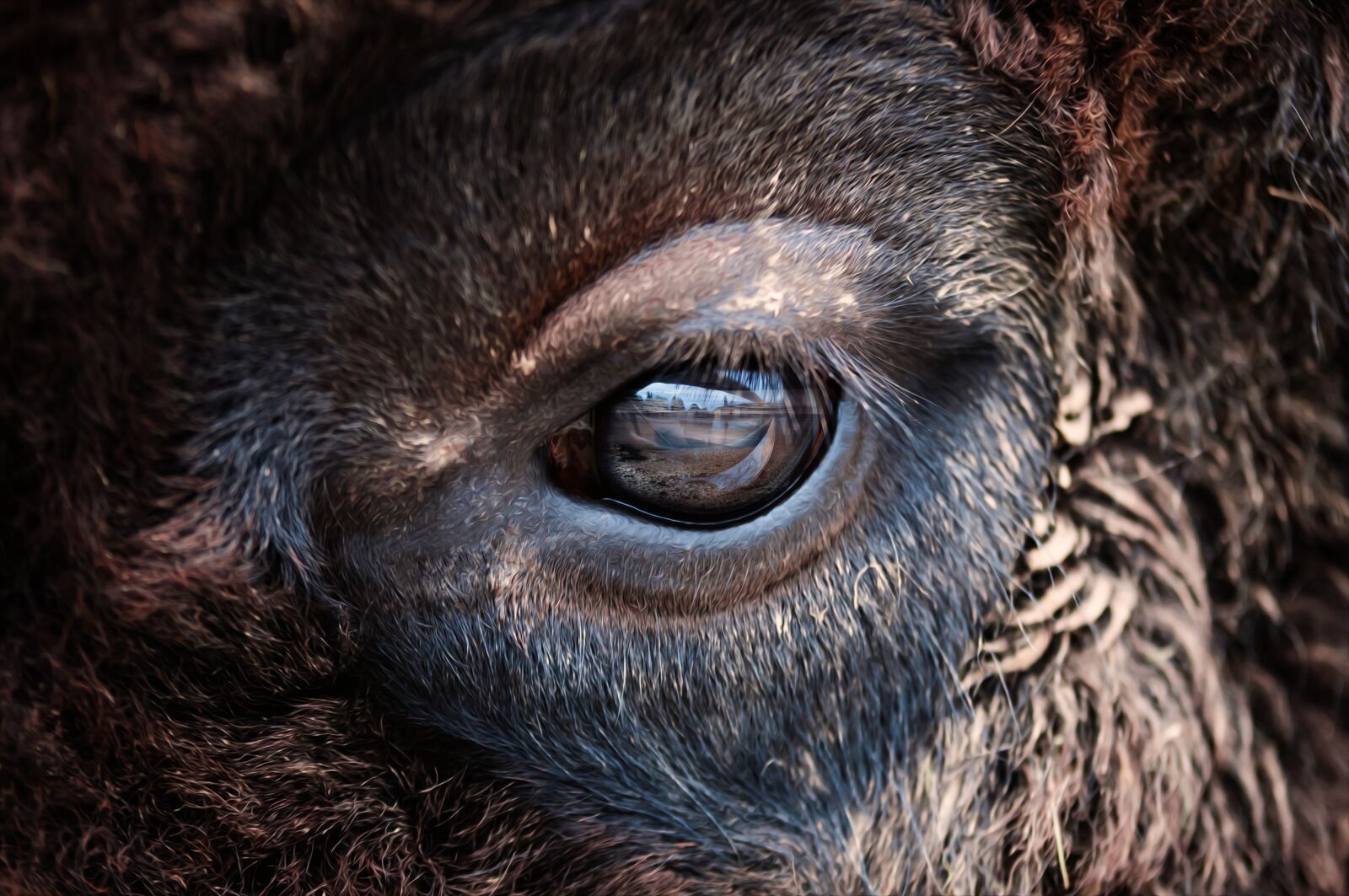 Nikon D90 sample photo. Close up, eye, head photography