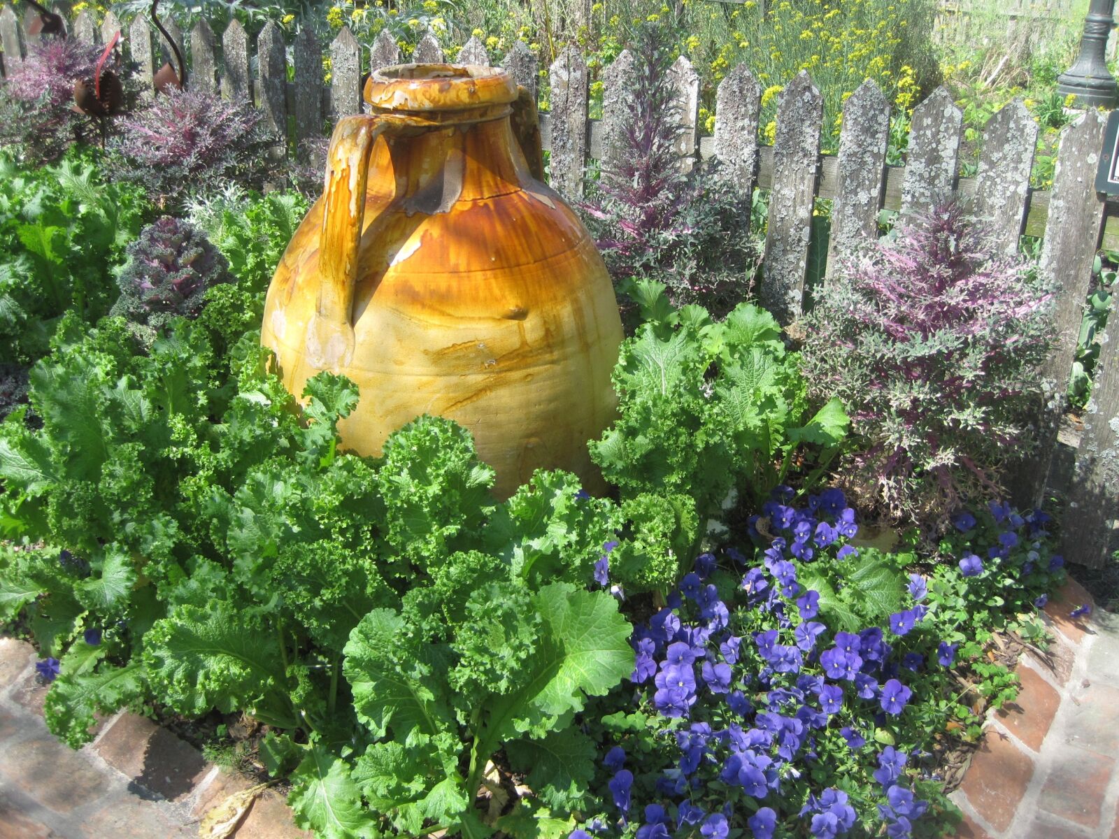 Canon PowerShot SD1200 IS (Digital IXUS 95 IS / IXY Digital 110 IS) sample photo. Vase, garden, lettuce photography