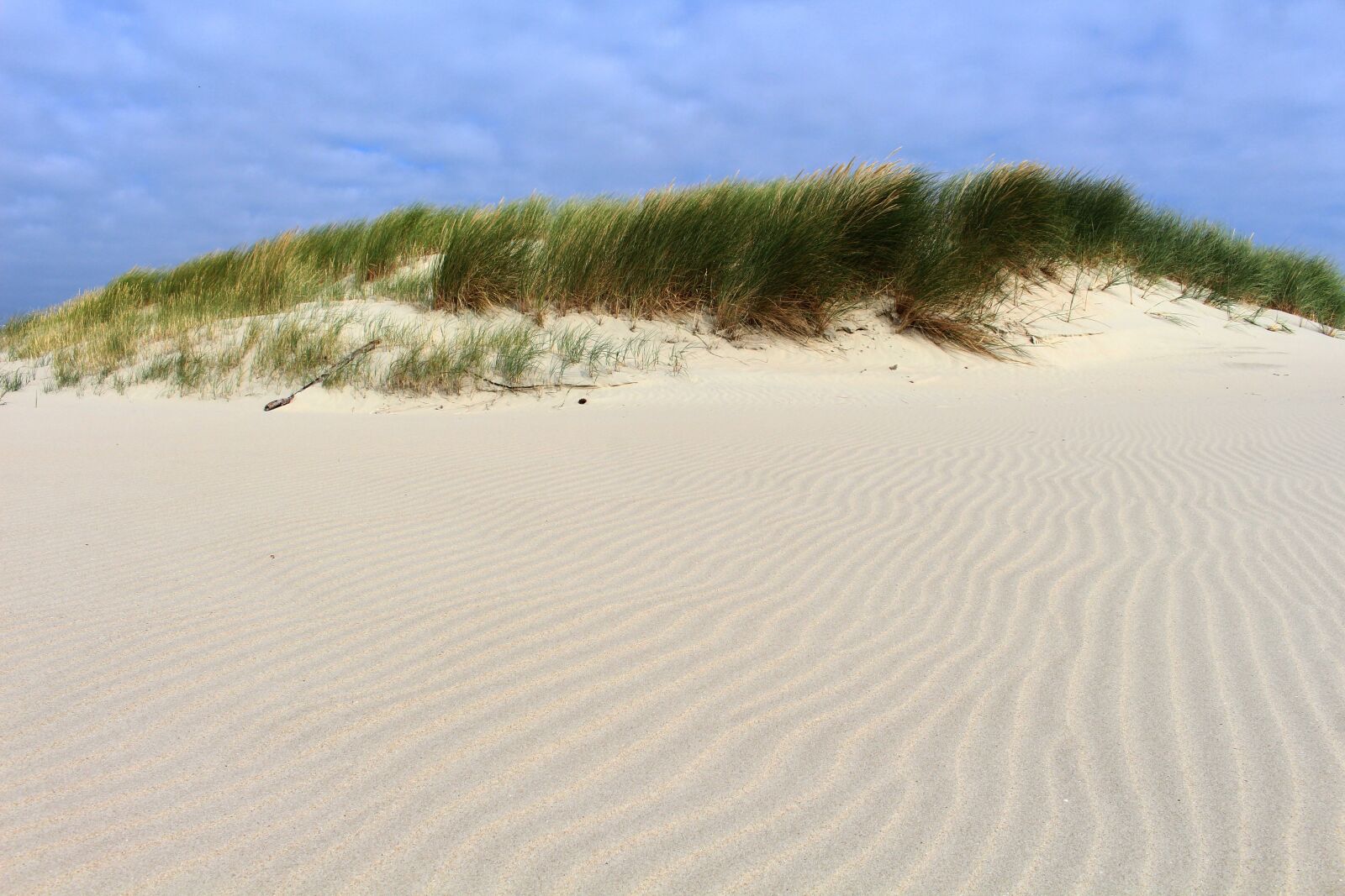Canon EOS 700D (EOS Rebel T5i / EOS Kiss X7i) sample photo. Langeoog, sand, north sea photography