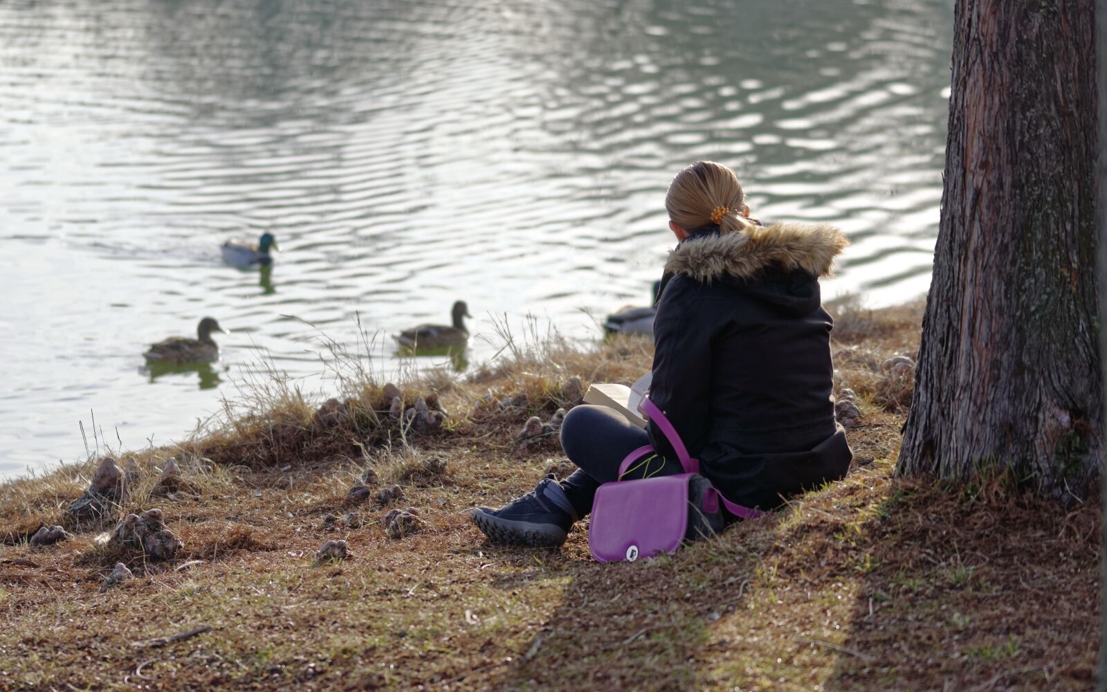 Nikon D5300 sample photo. Girl, woman, young photography