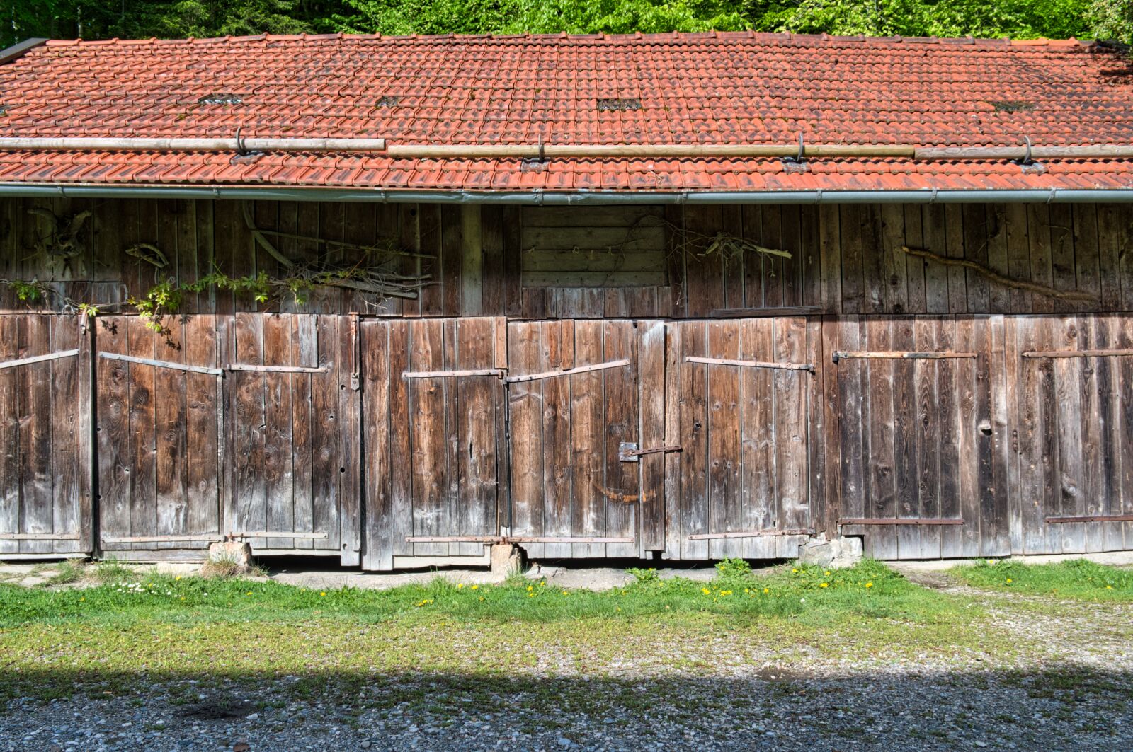 Nikon D7500 sample photo. Field barn, barn, scale photography