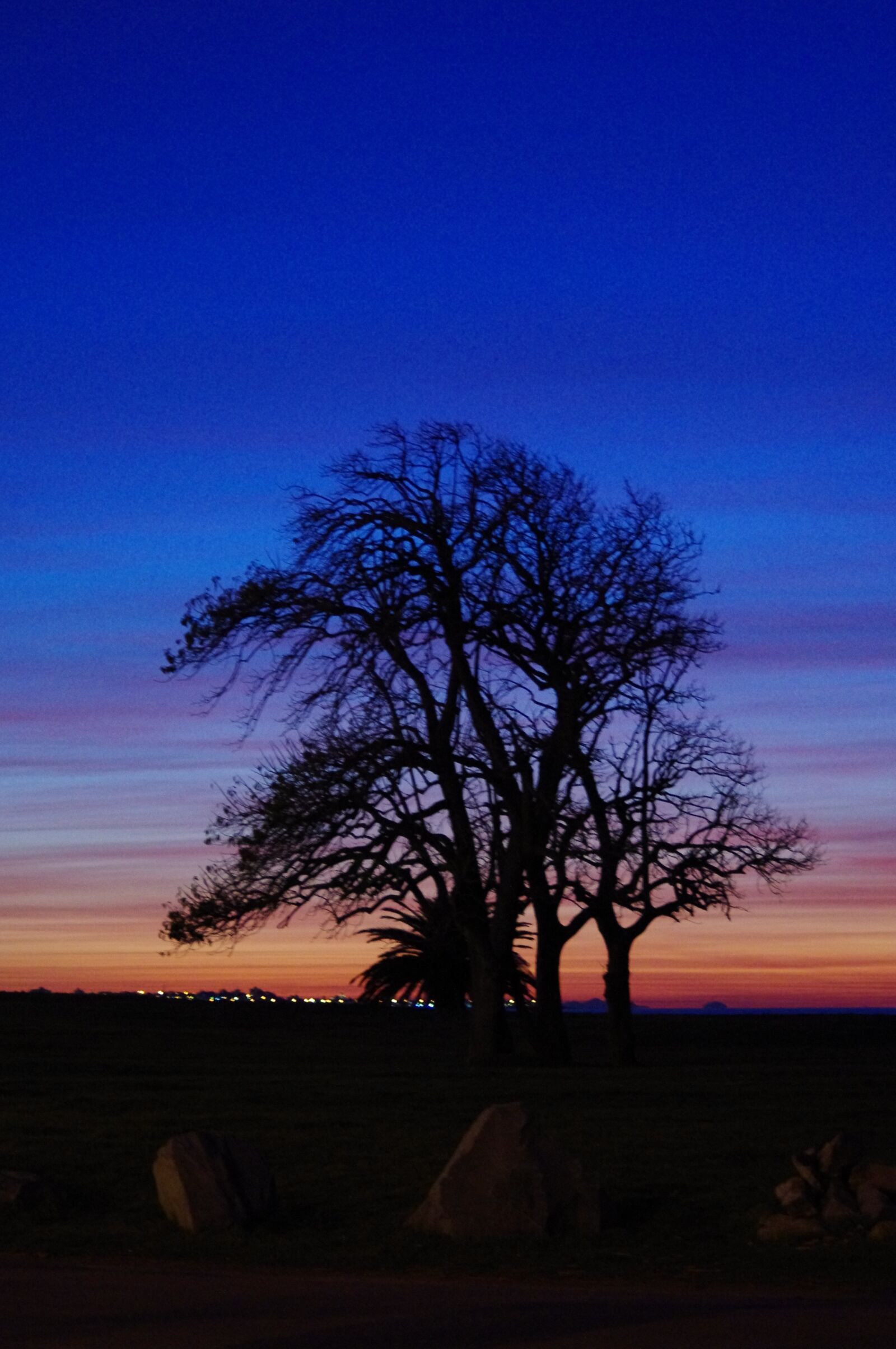 Pentax K-r sample photo. Dawn, tree, sky photography