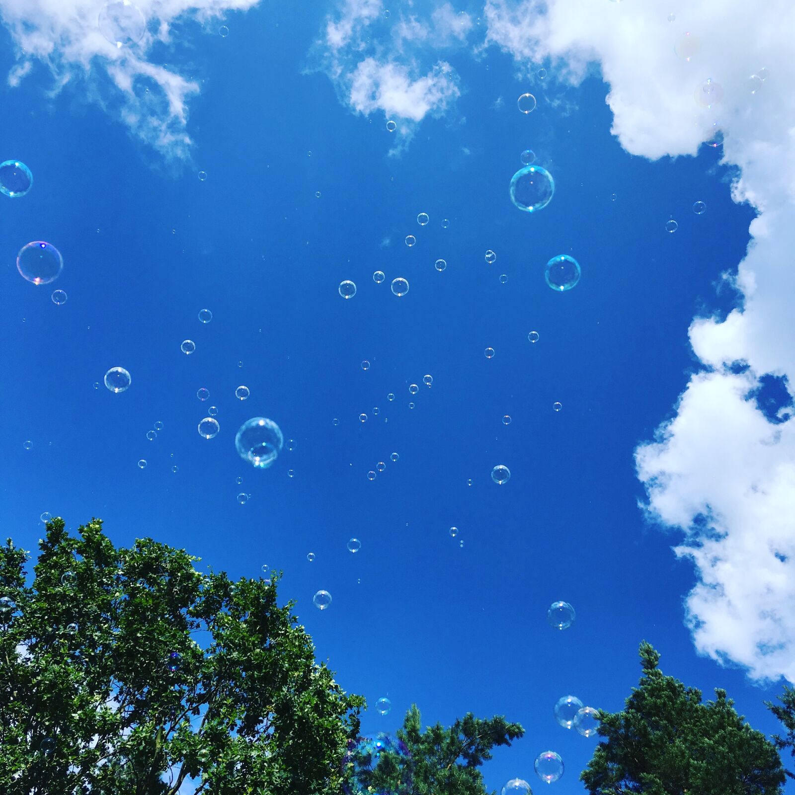 Apple iPhone SE sample photo. Sky, bubbles, in the photography